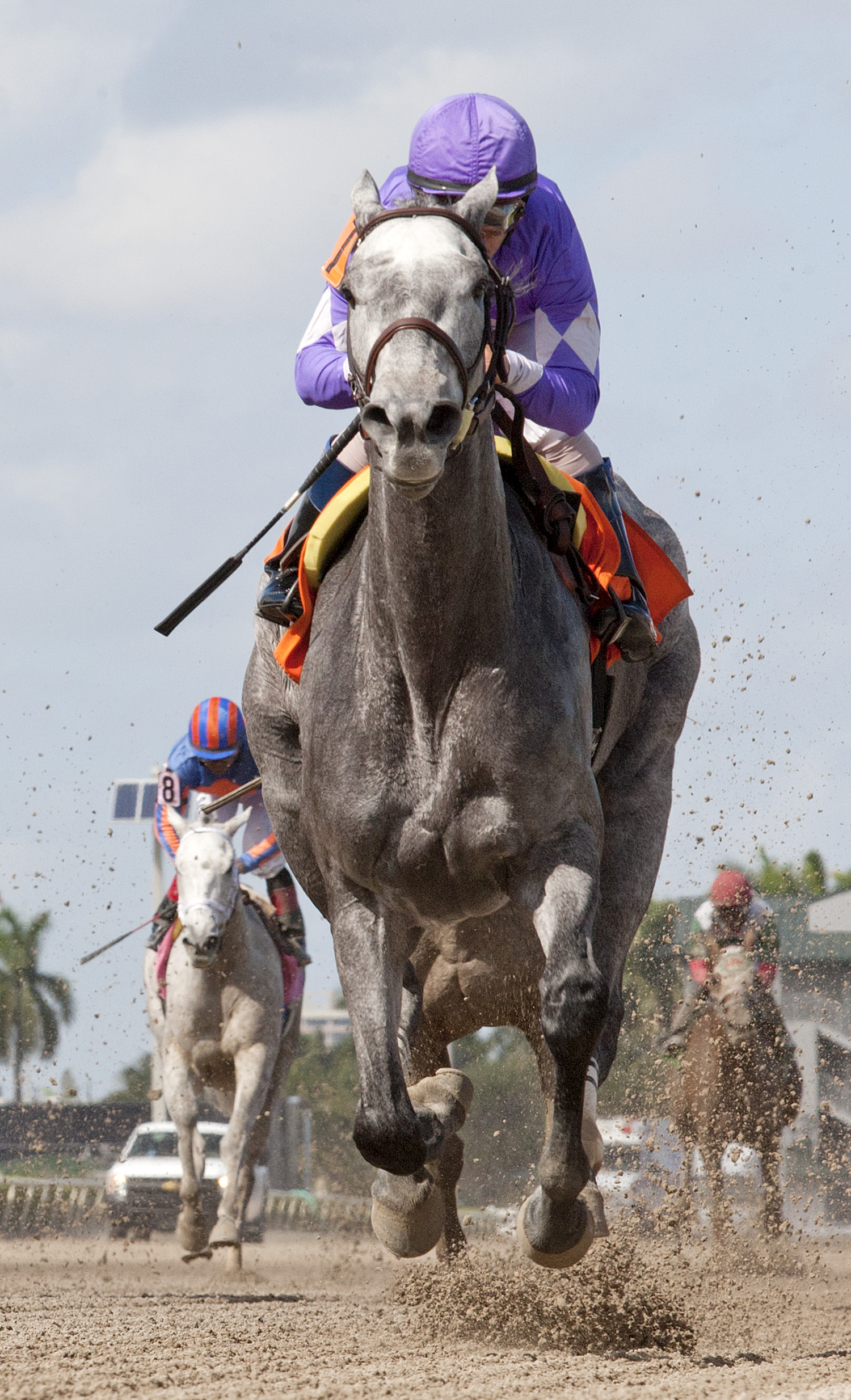 Bridled Heiress wins a maiden race in 2014