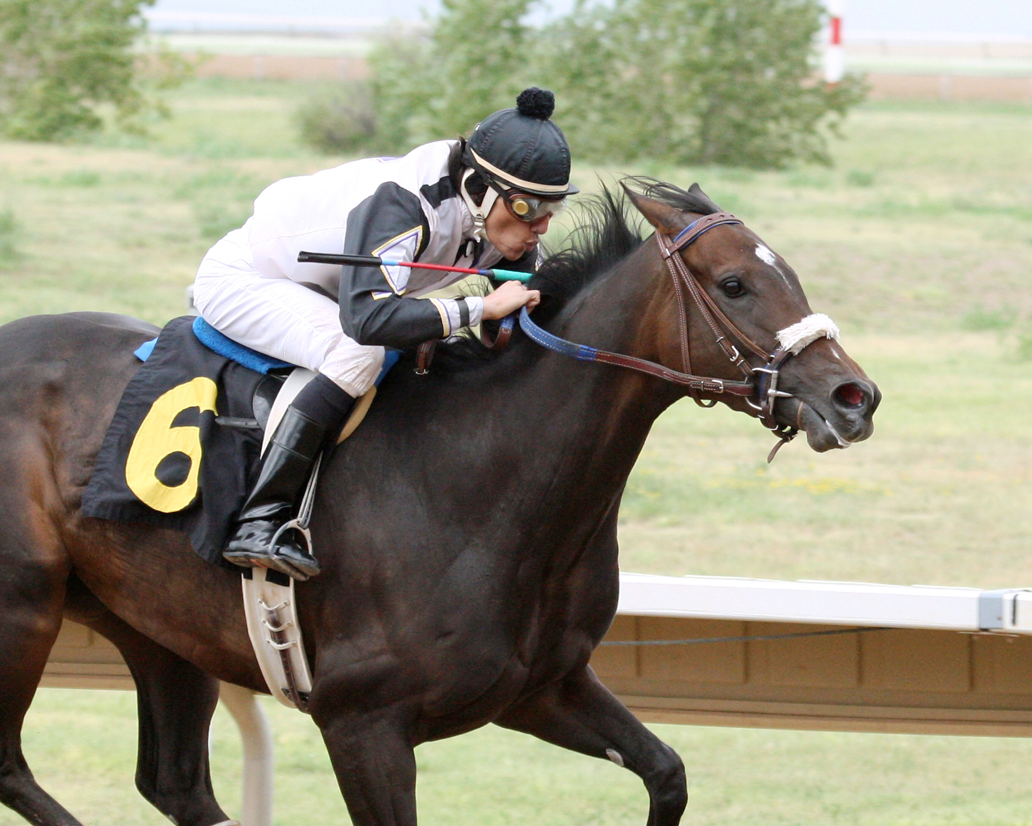 Travis Wales guides Bridlewood Angel to victory in the CTBA Breeders Oaks