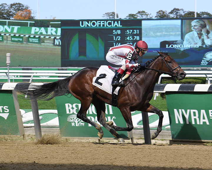 Bridlewood Cat wins an Oct. 13 maiden race at Belmont Park