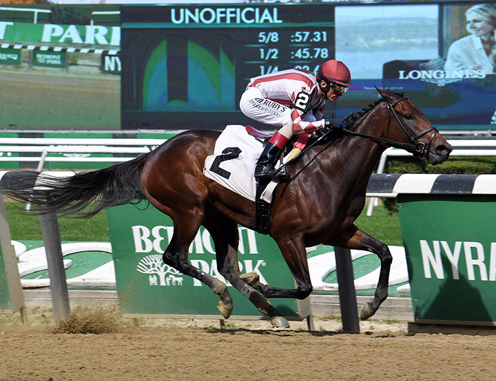 Bridlewood Cat wins an Oct. 13 maiden race at Belmont Park