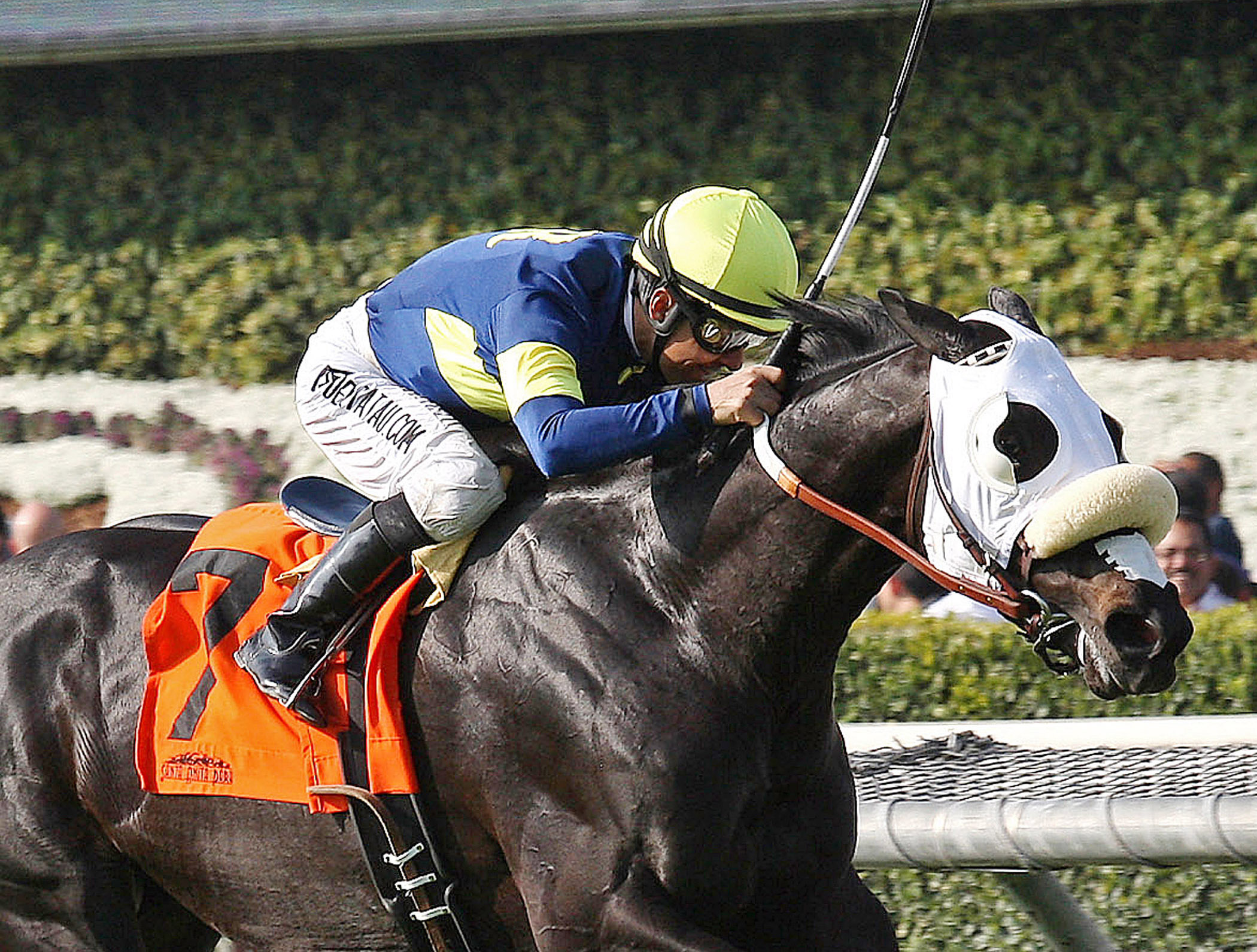 Bright Thought wins the San Luis Rey Stakes