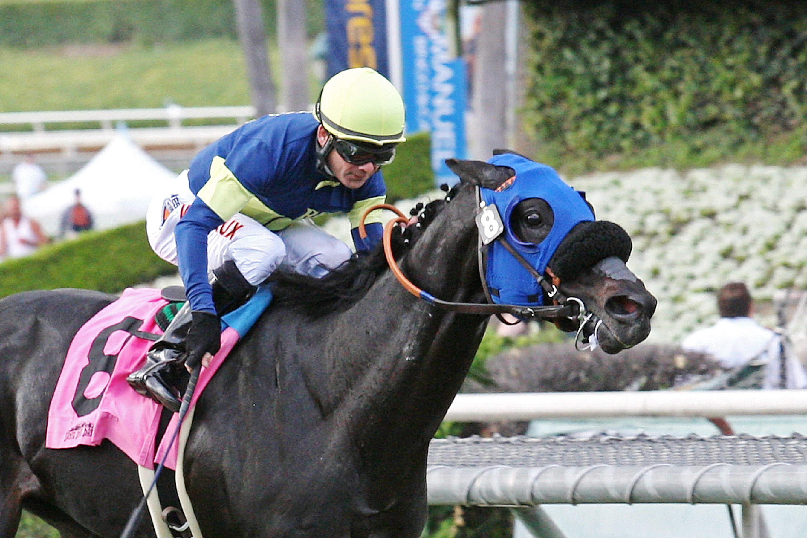 Bright Thought wins the John Henry Turf Championship