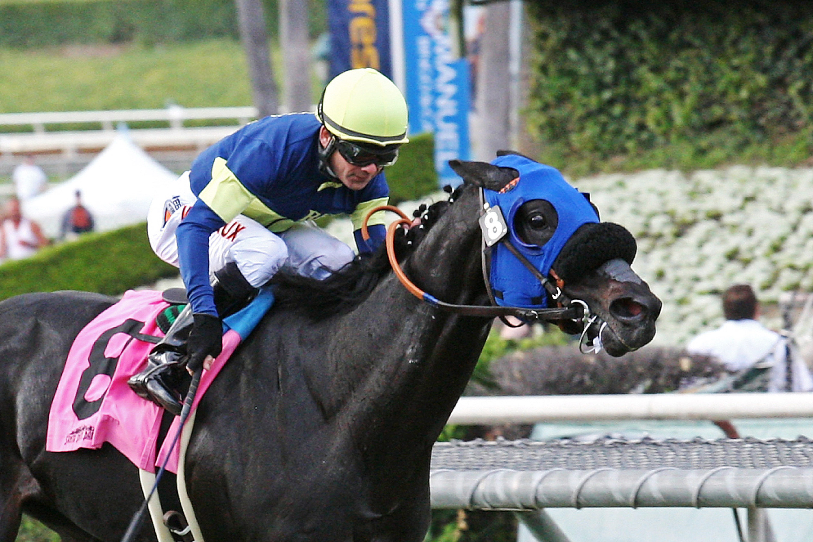 Bright Thought wins the John Henry Turf Championship