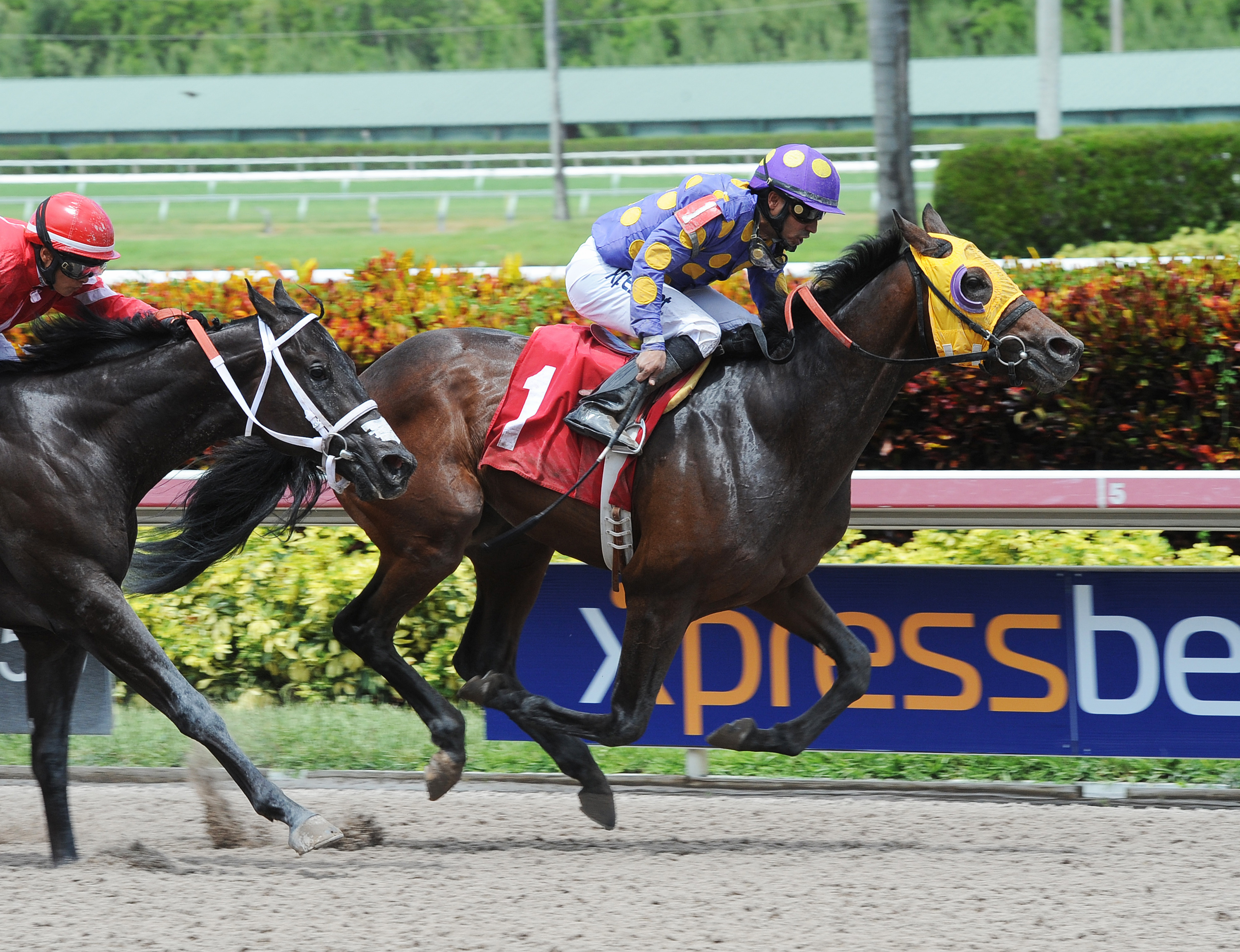 Brighton Lane wins a maiden race at Gulfstream