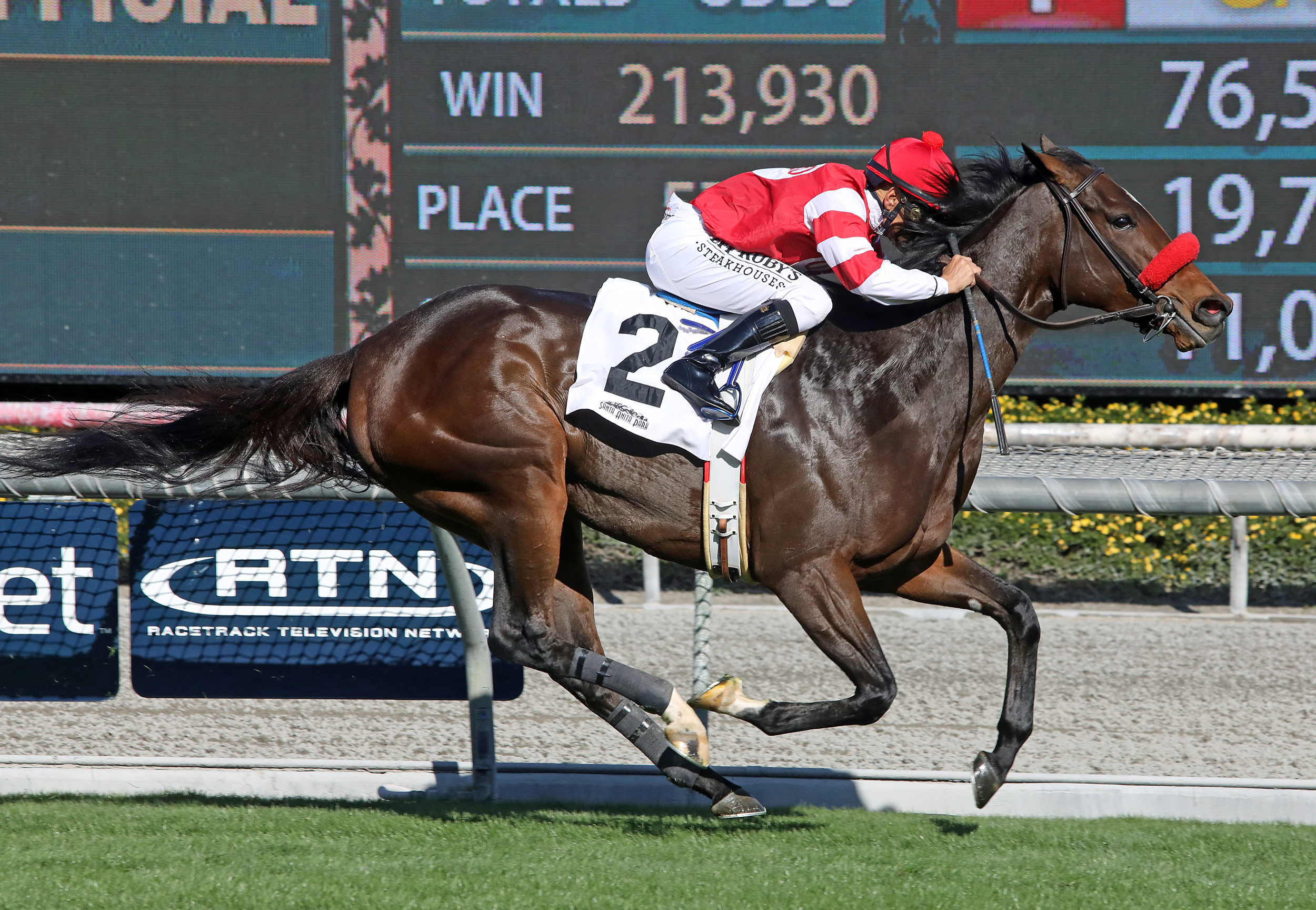 Brill wins the 2019 Lady of Shamrock Stakes