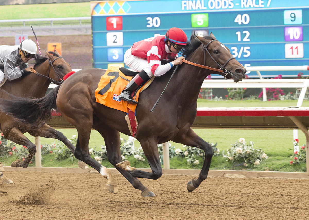 Brill wins a July 18 maiden race at Del Mar