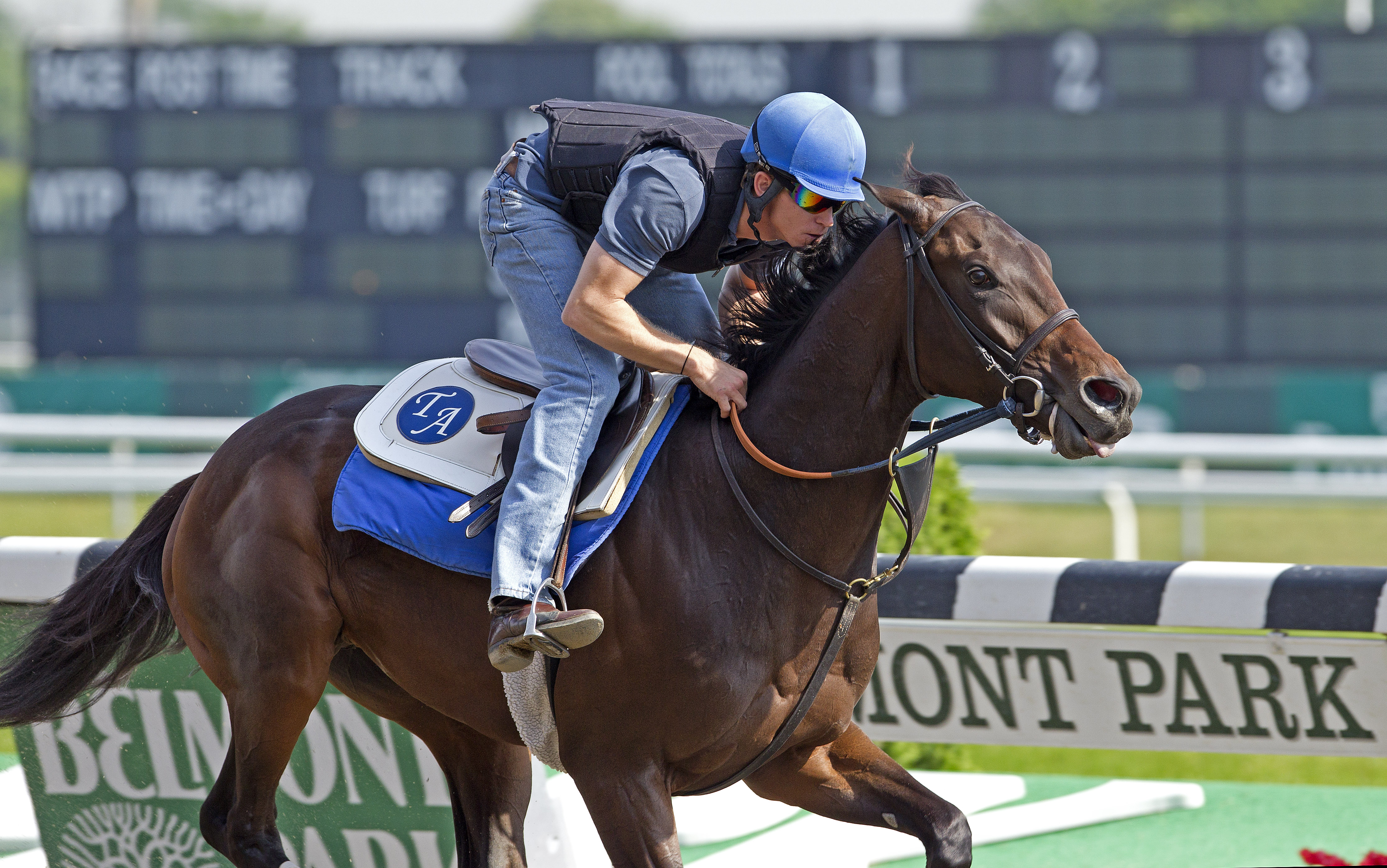 Brilliant Speed trains for Belmont