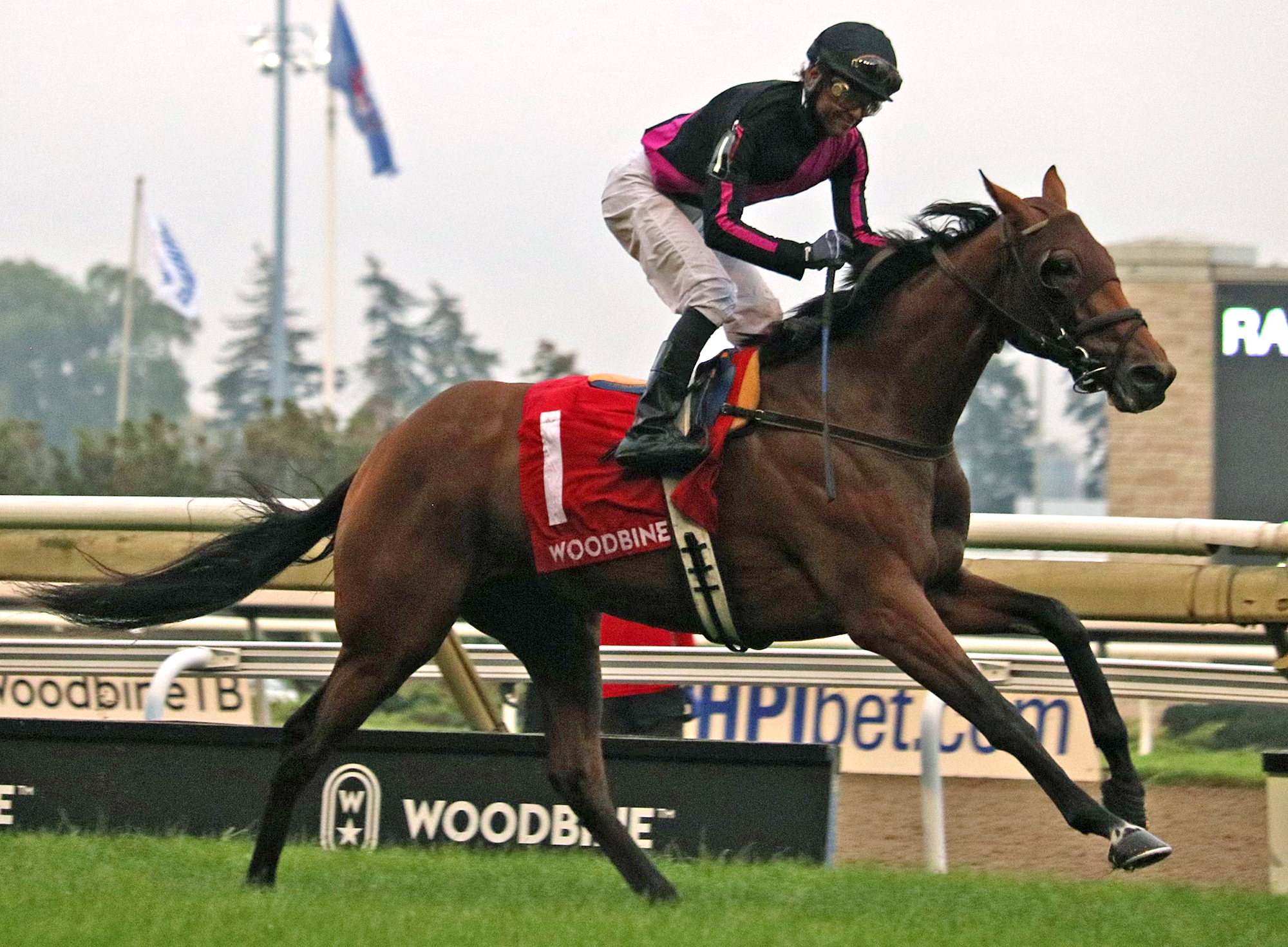 British Royalty - Breeders S. 2021