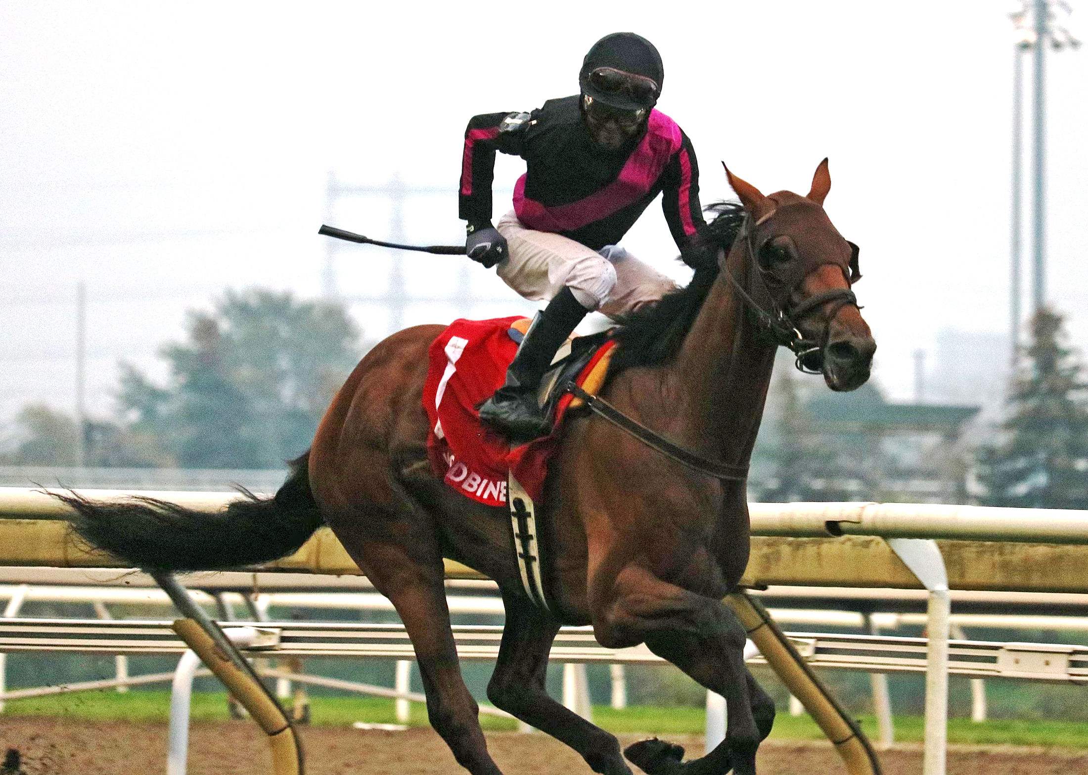 British Royal wins the Breeders' 10-3-2021