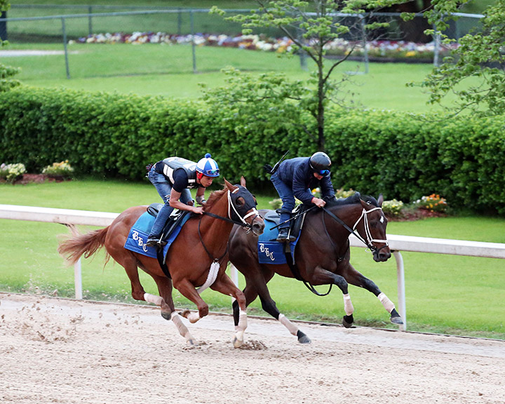British Idiom (outside) trains with Evil Lyn at Oaklawn Park on April 25