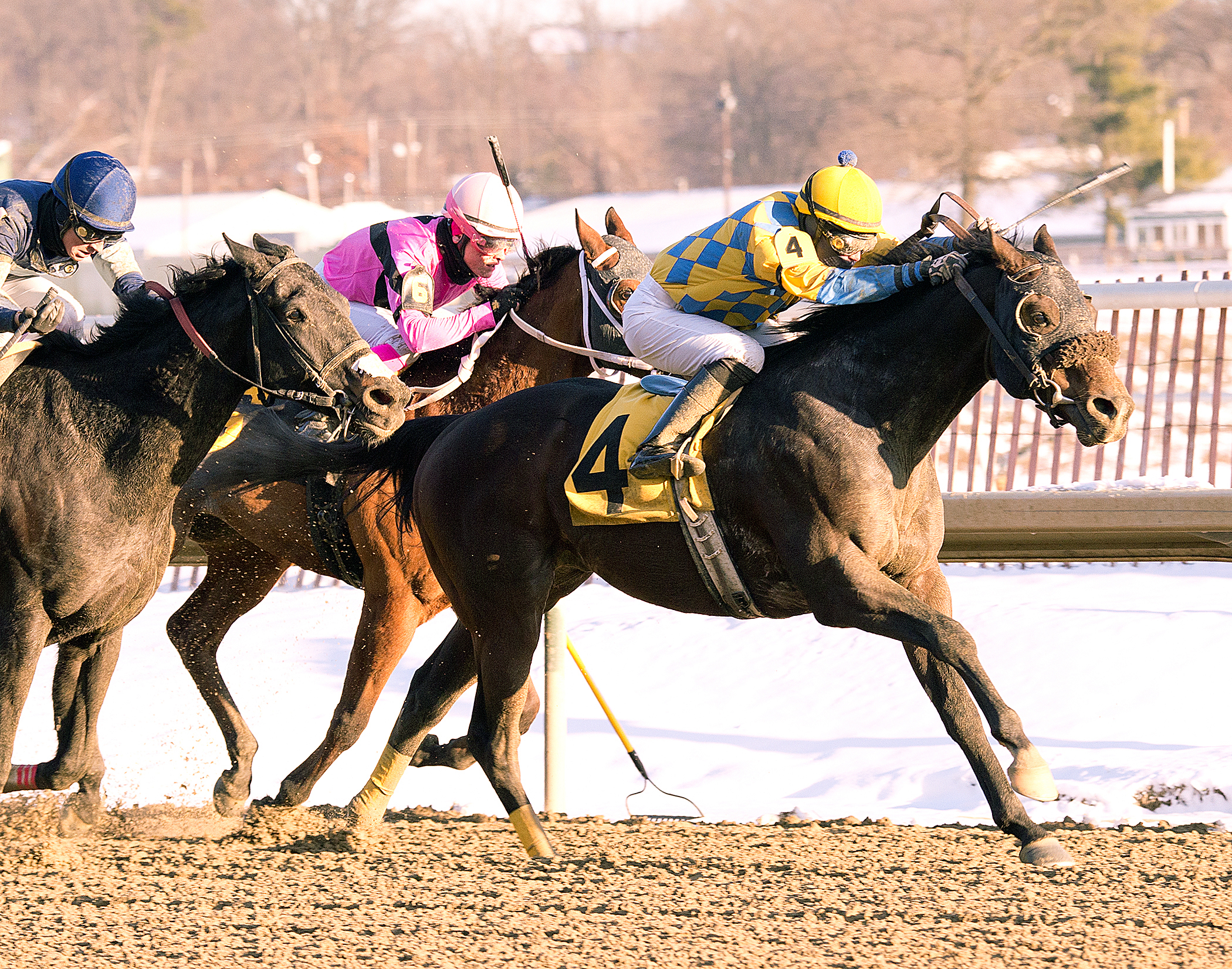 Broad Rule wins the Fire Plug Stakes
