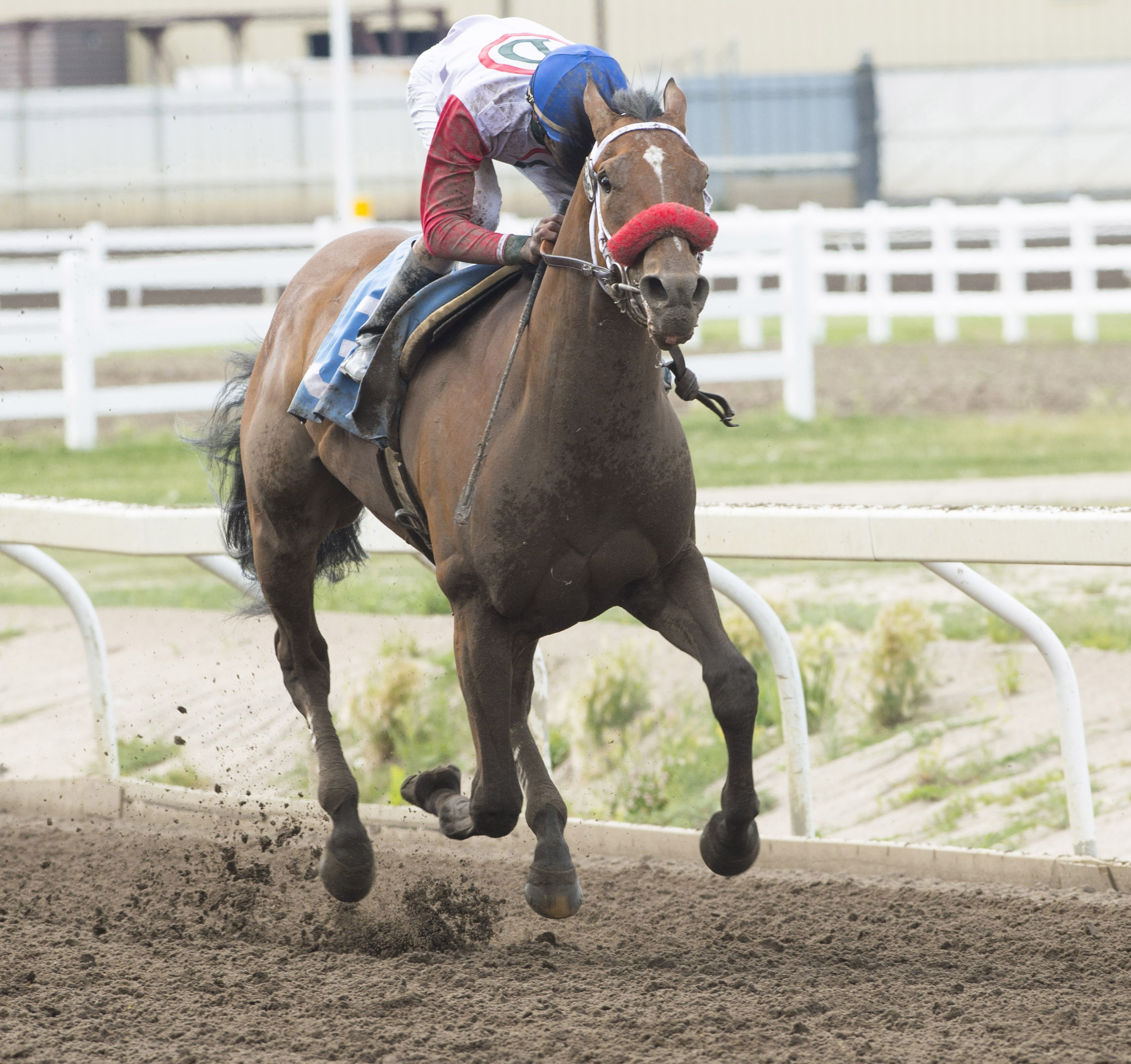 Broadway Empire, Ky Alta Stakes
