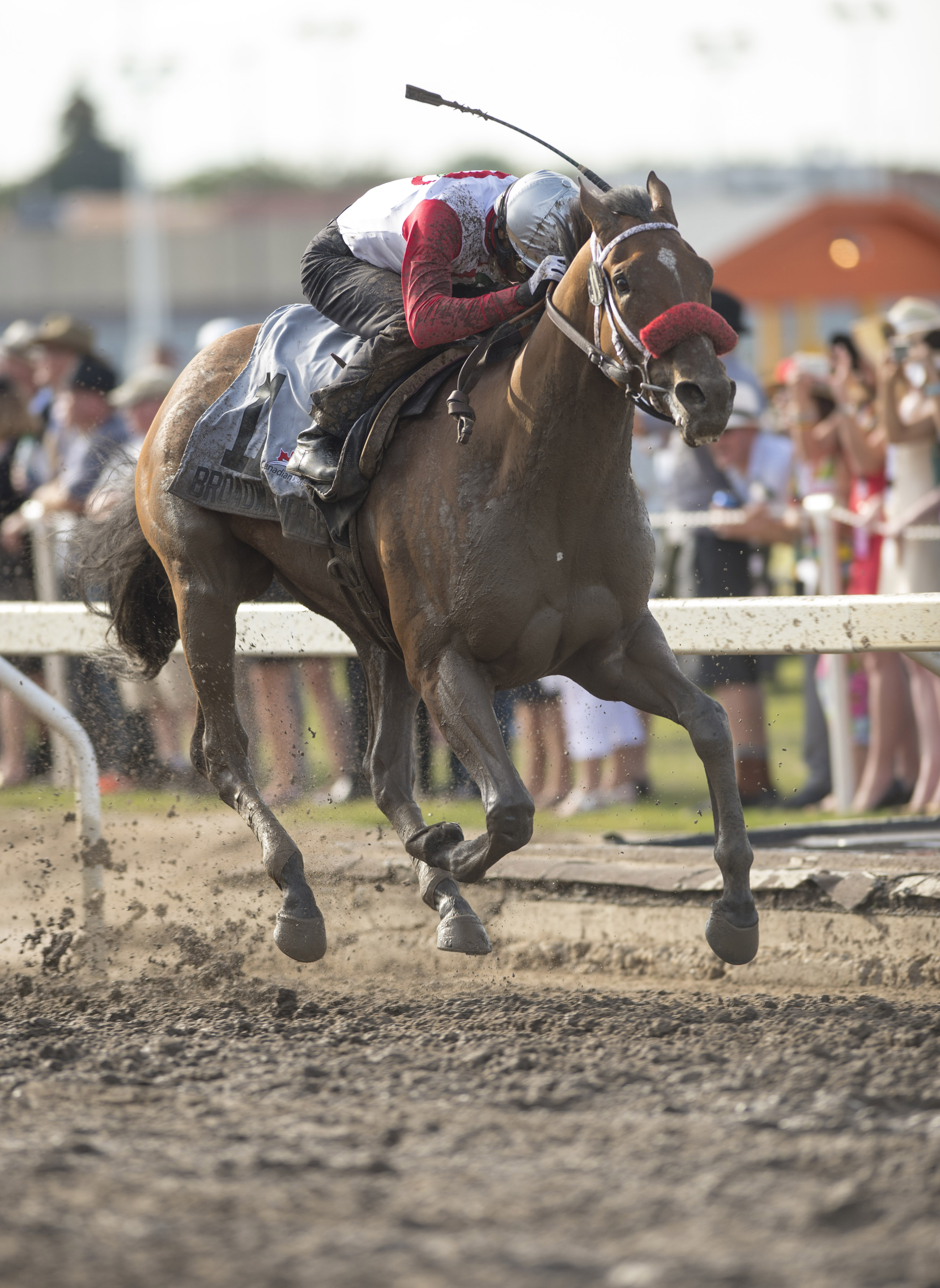 Broadway Empire, Canadian Derby