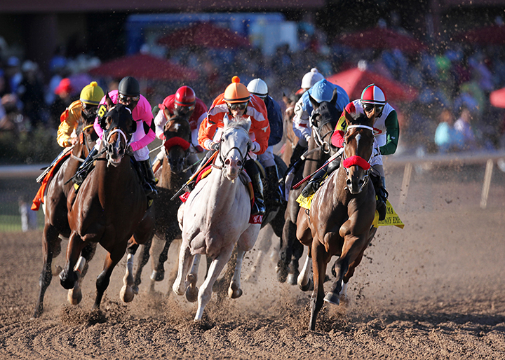 Remington Park racing 2013