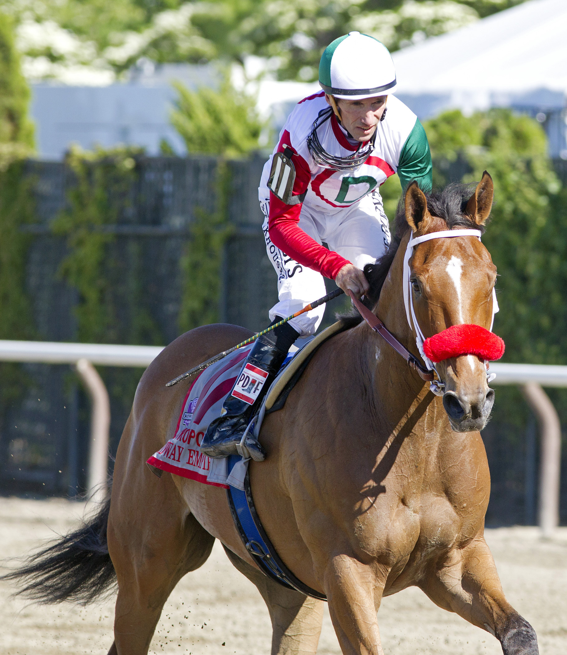 Broadway Empire finishes sixth in the Met Mile