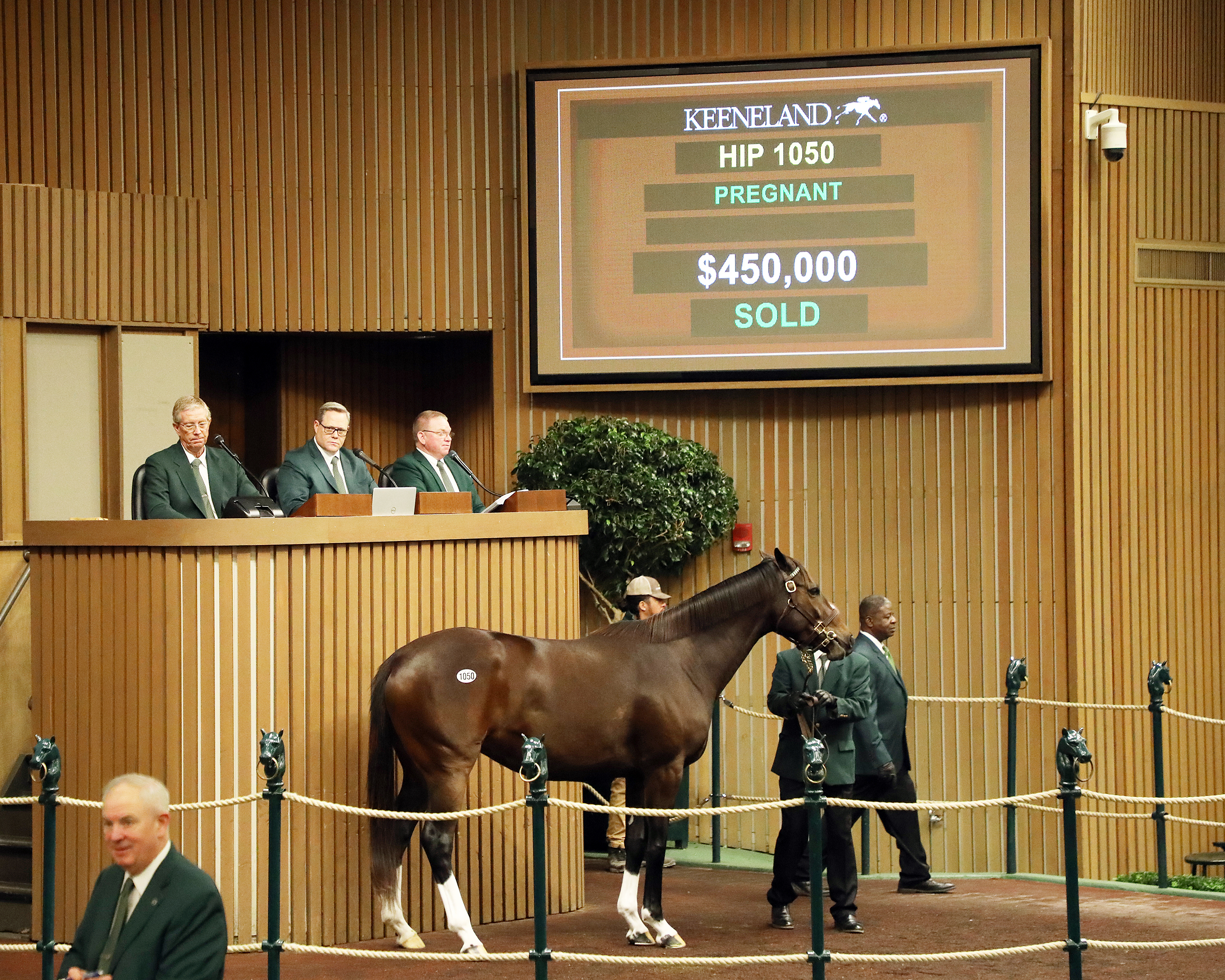 Brockovich - Keeneland Sales