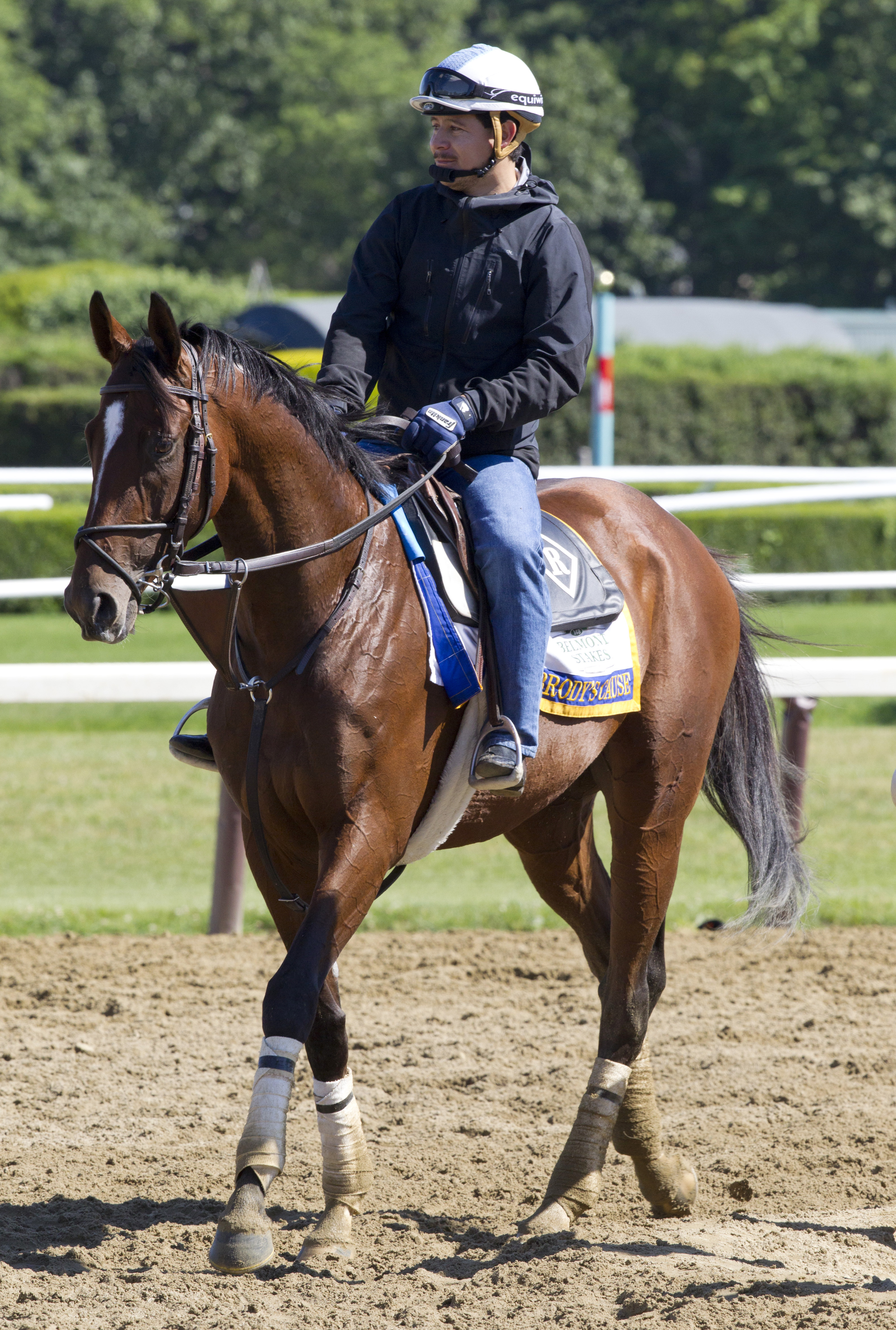 Brody's Cause at Belmont Park on June 9