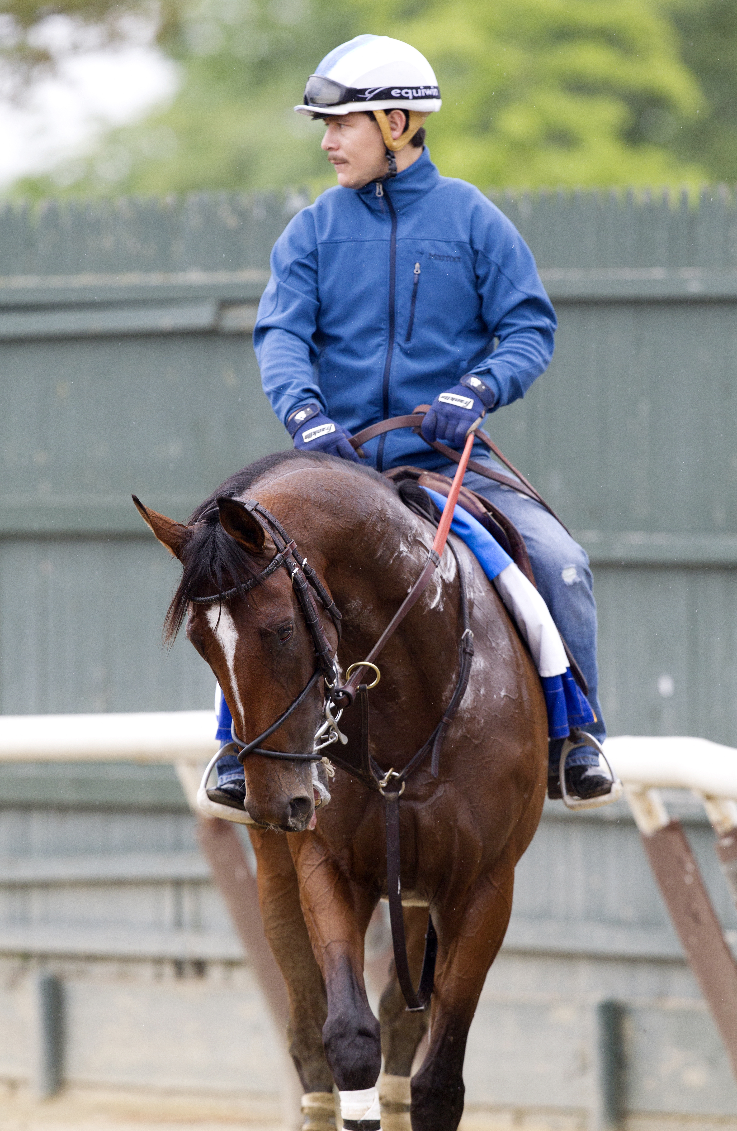 Brody's Cause at Belmont Park on June 3
