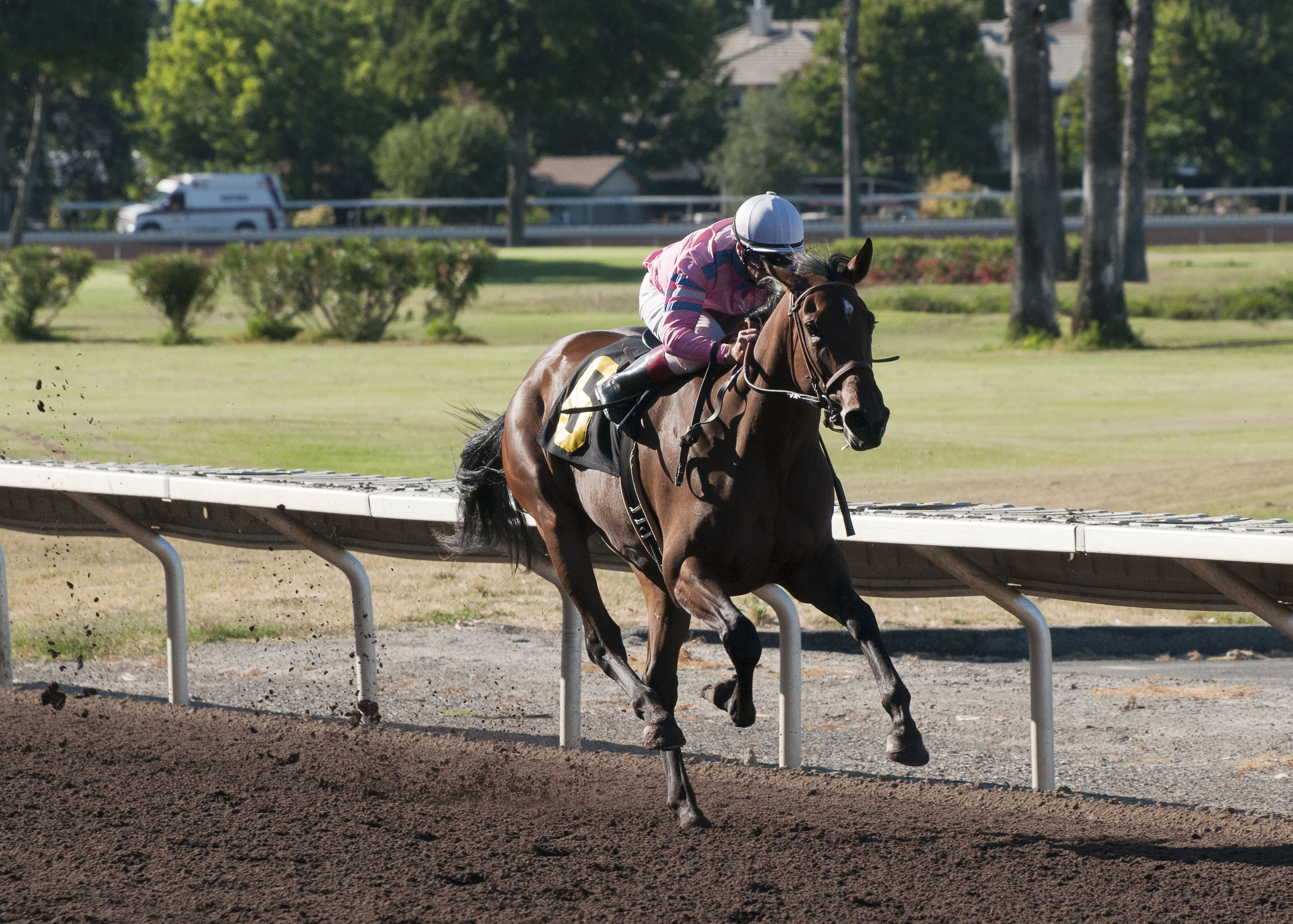 Broken Sword/Juan Gonzalez Memorial Stakes