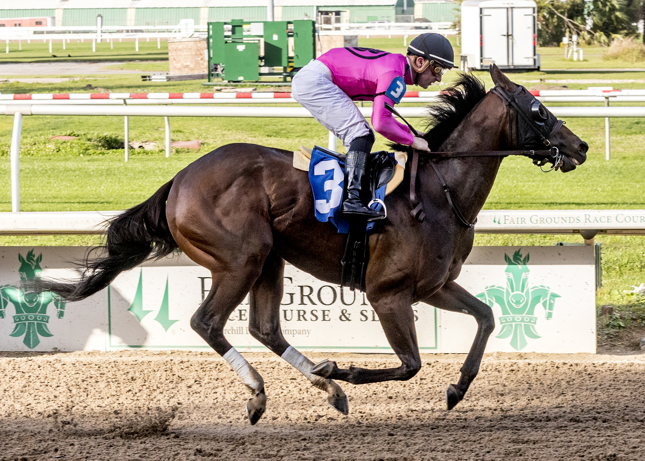 Bron and Brow, La. Futurity