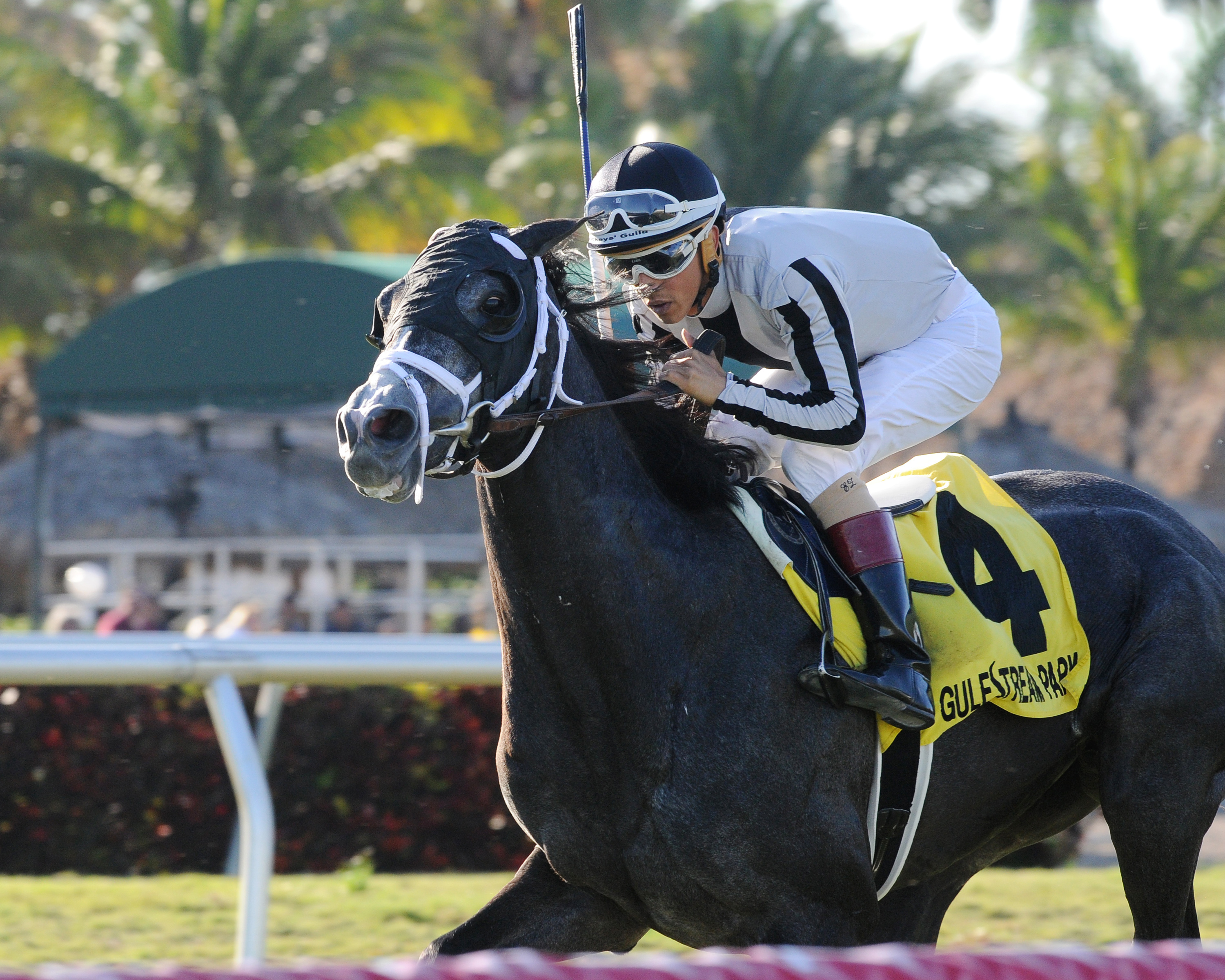 Bronson wins the English Channel Stakes