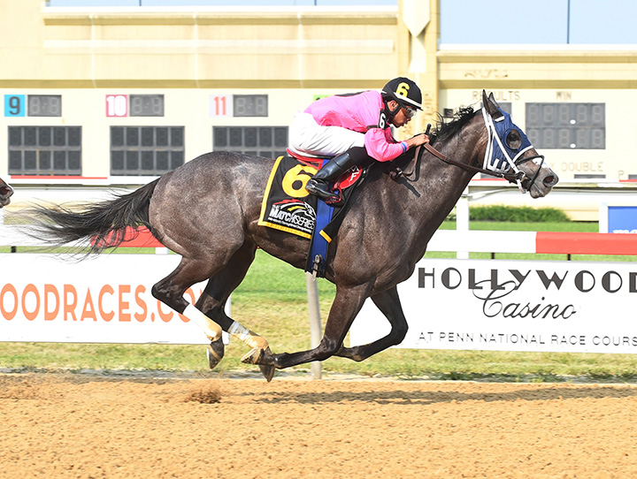 Bronx Beauty wins the 2019 Penn Ladies Dash