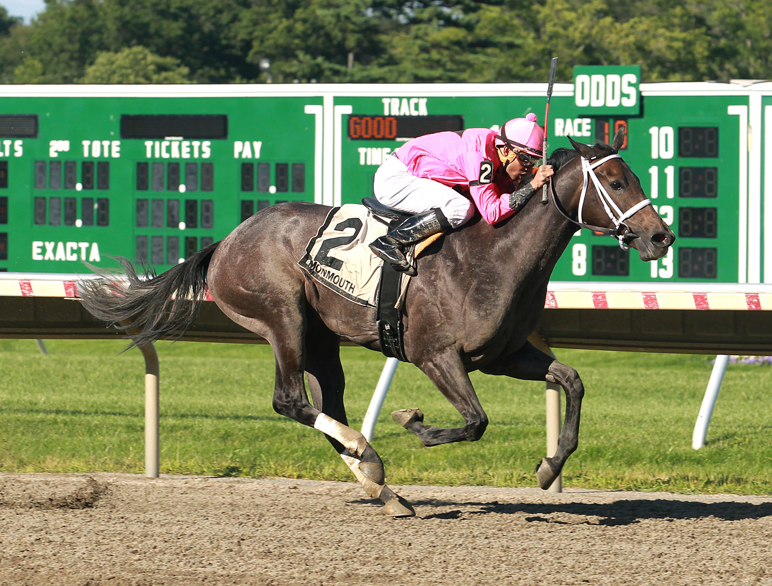 Bronx Beauty wins the 2017 Colleen Stakes