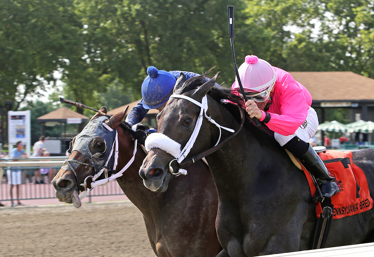 Bronx Beauty wins the 2018 Jose Flores Memorial