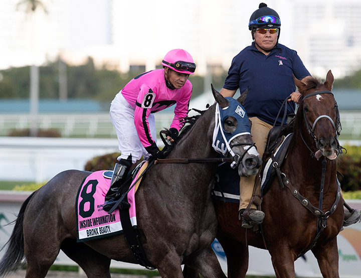 Bronx Beauty at the 2020 Inside Information Stakes at Gulfstream Park