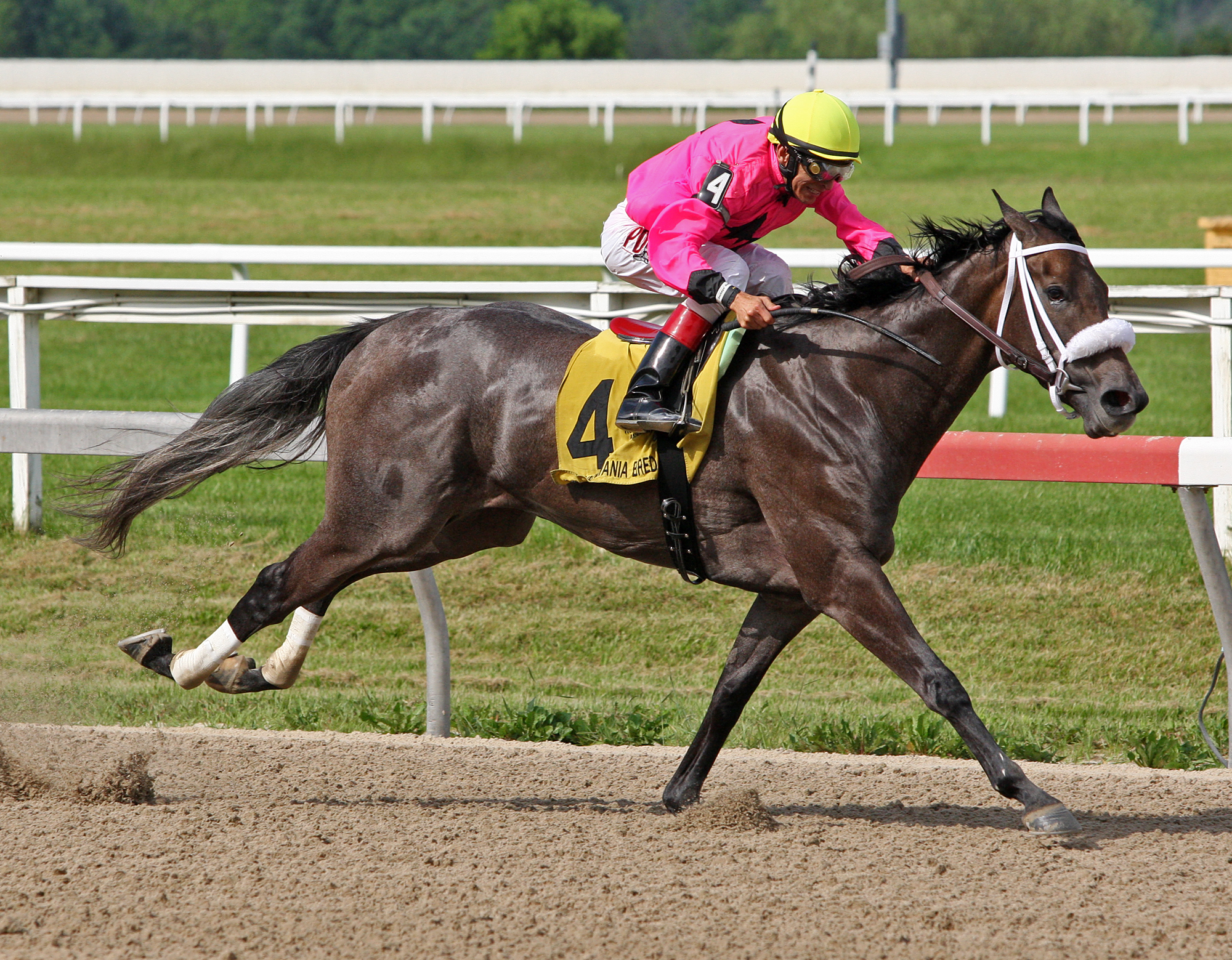 Bronx Beauty wins 2018 New Start