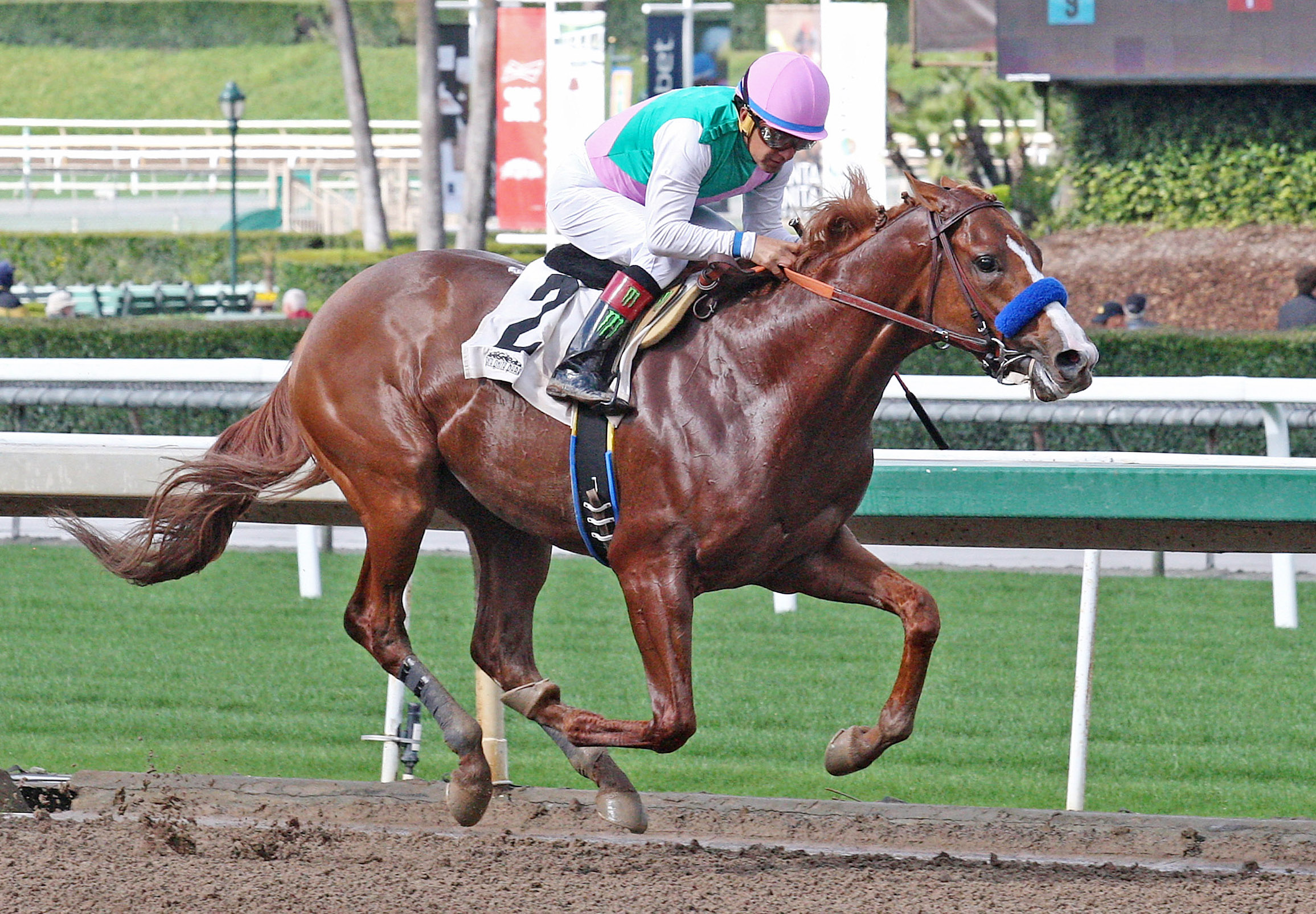 Bronze Age wins a maiden race
