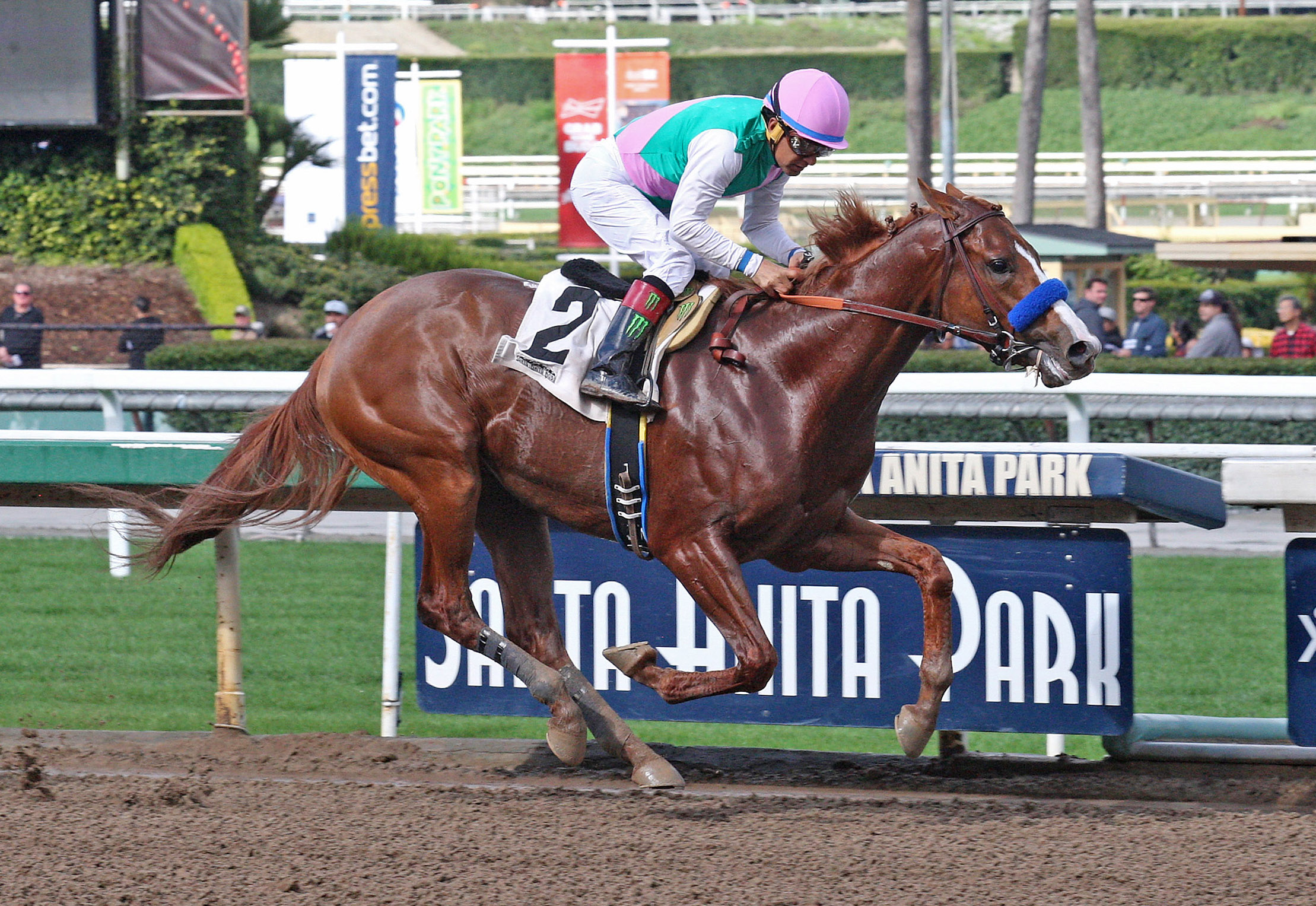 Bronze Age wins a maiden race