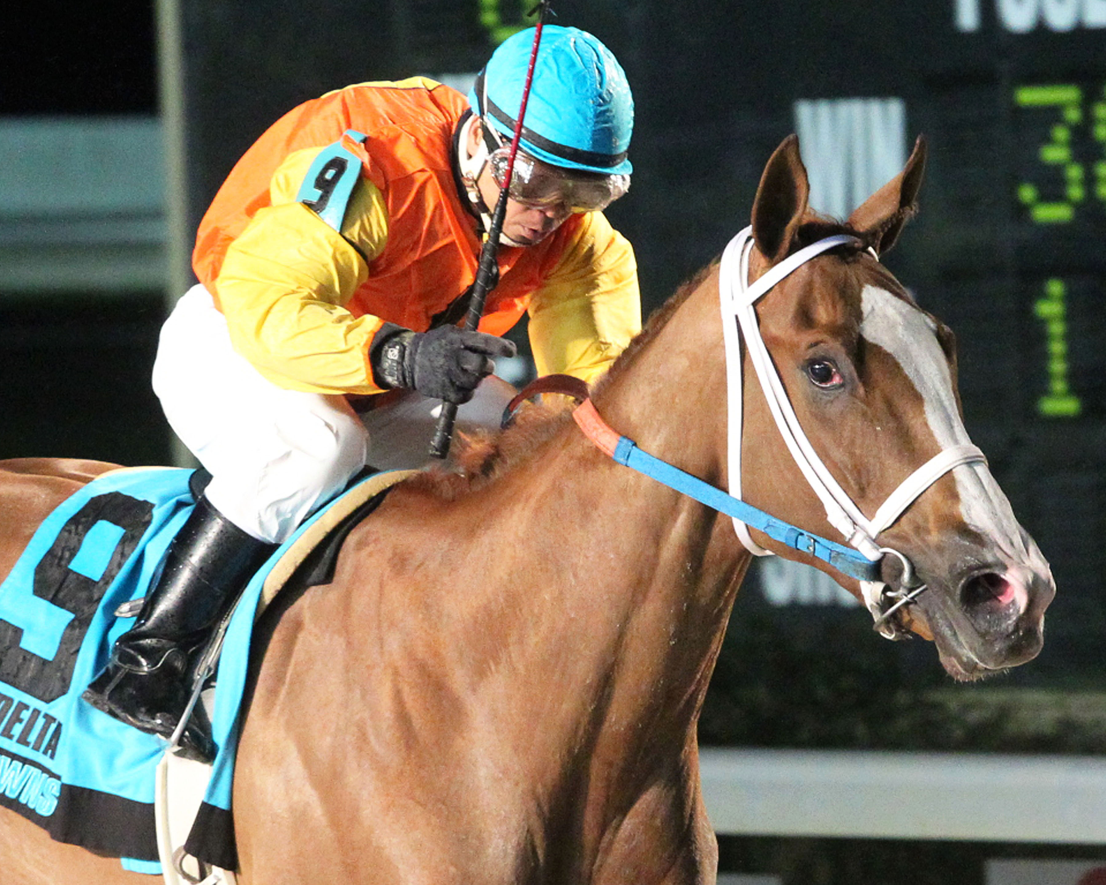 Brooke's a Bookin wins the By the Light Stakes