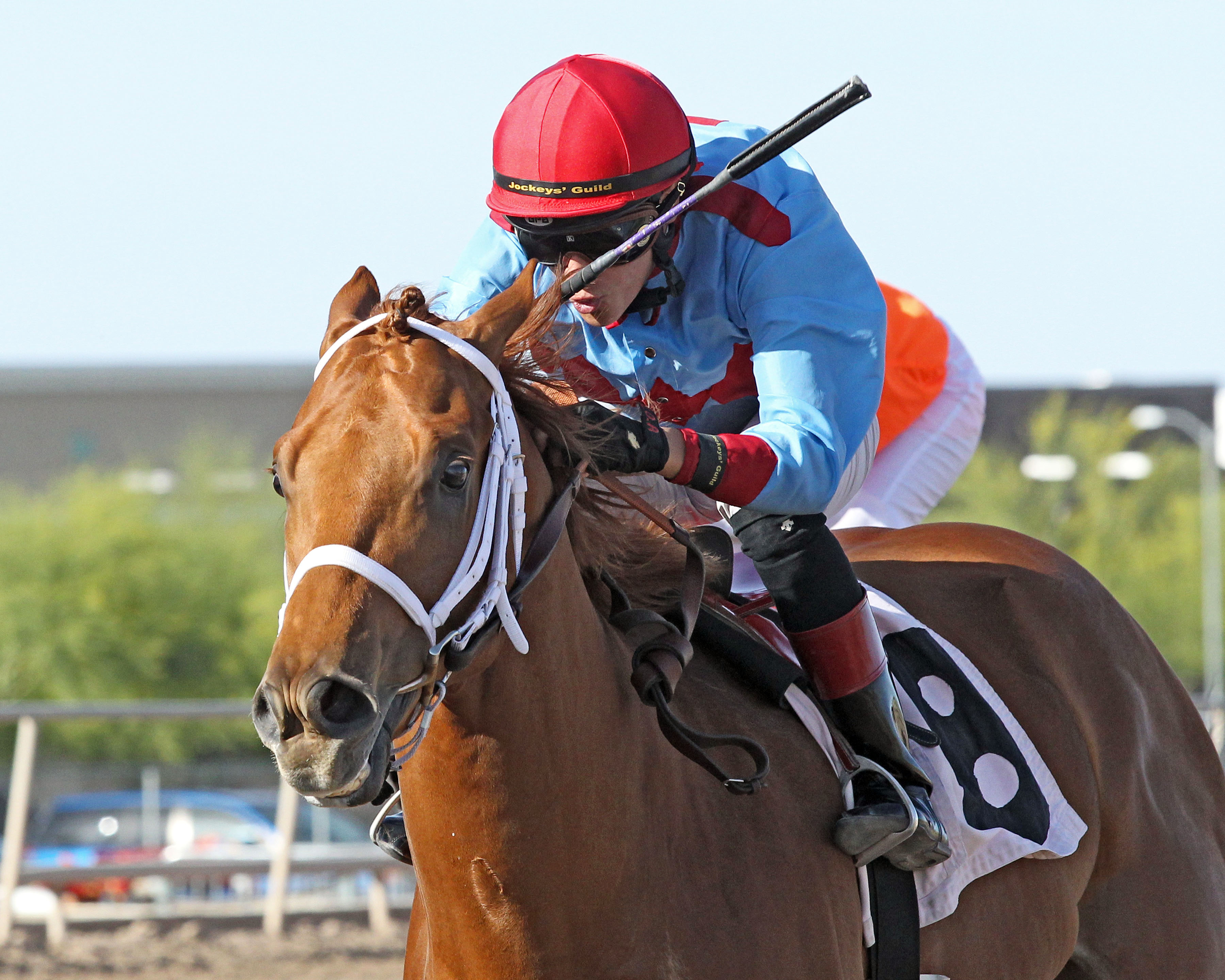 Brookerson wins the ATBA Spring Sales Stakes