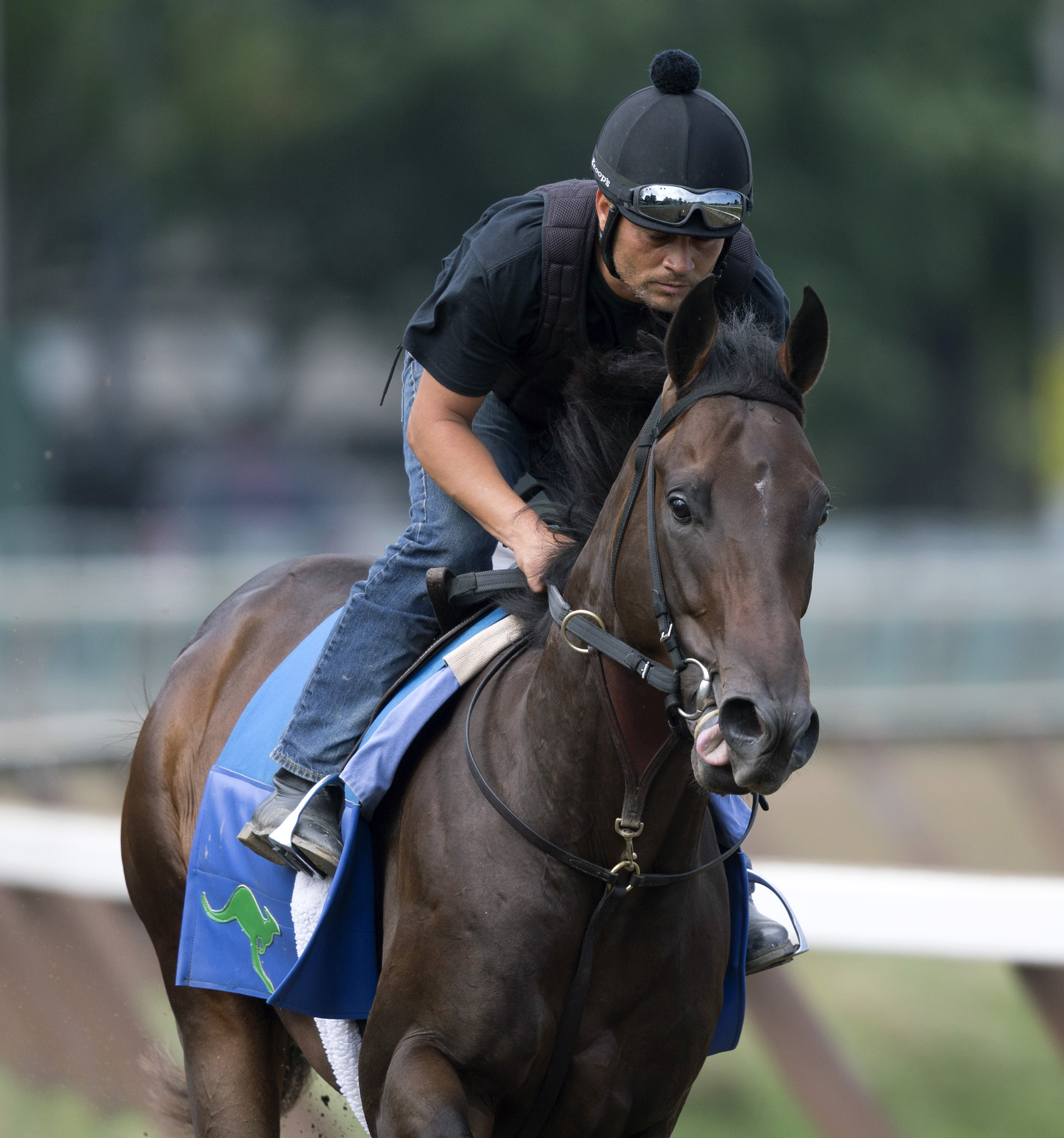 Brooklyn Bobby trains in July 2016