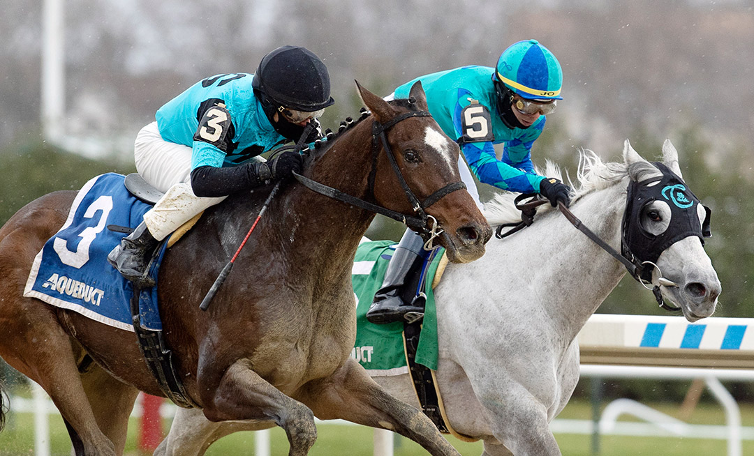 Brooklyn Strong (left) wins the 2020 Remsen Stakes at Aqueduct Racetrack