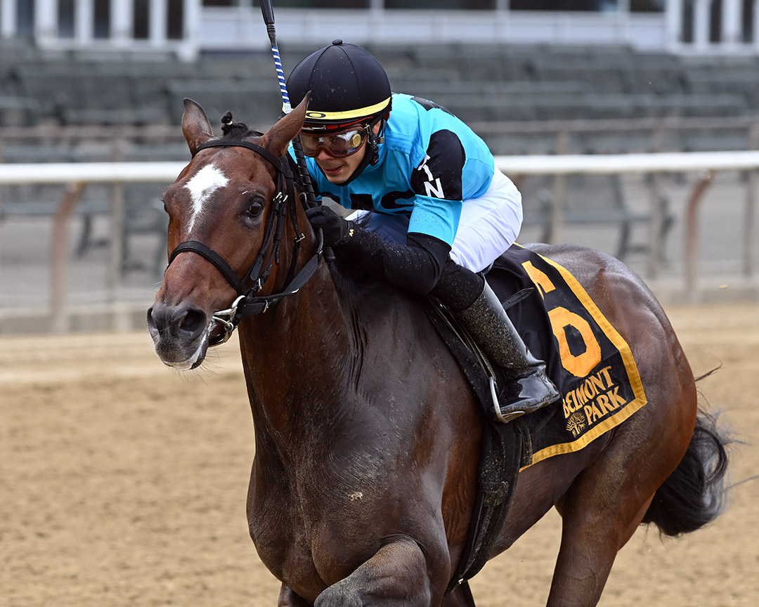 Brooklyn Strong wins the 2020 Sleepy Hollow Stakes at Belmont Park