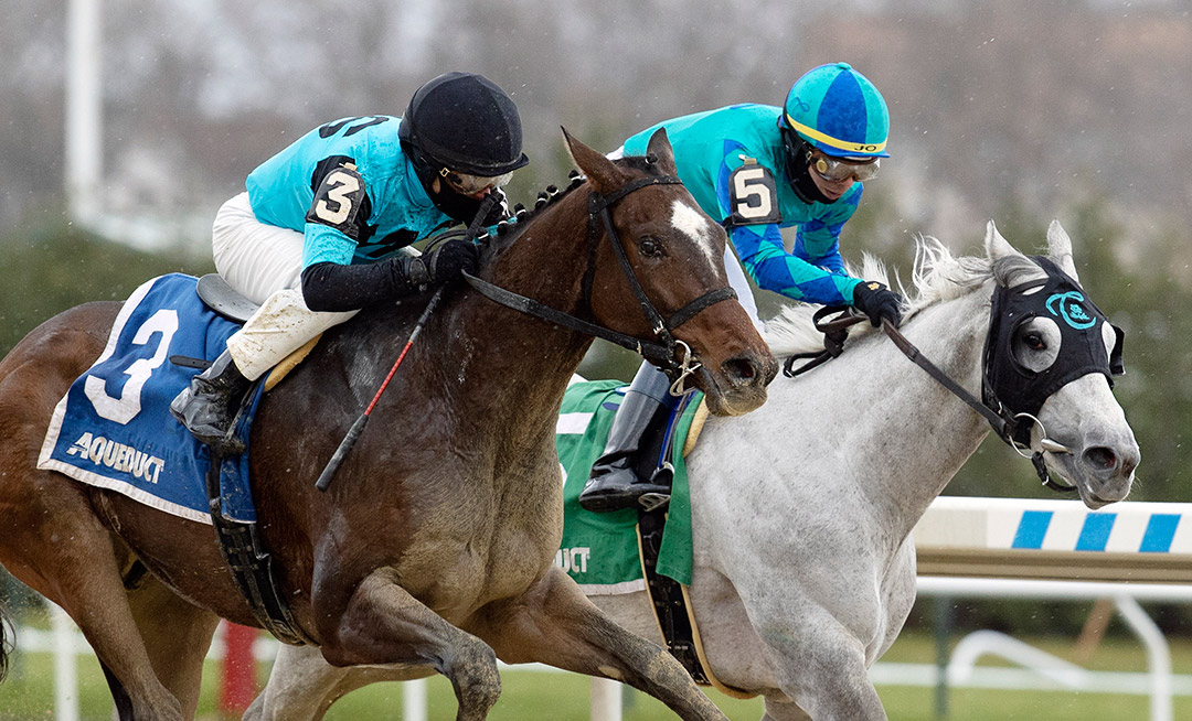Brooklyn Strong (left) wins the 2020 Remsen Stakes at Aqueduct