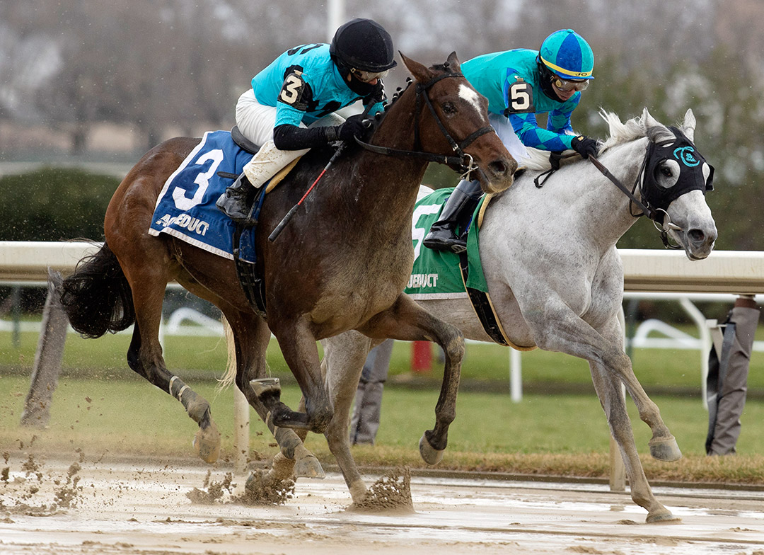 Brooklyn Strong (left) wins the 2020 Remsen Stakes at Aqueduct