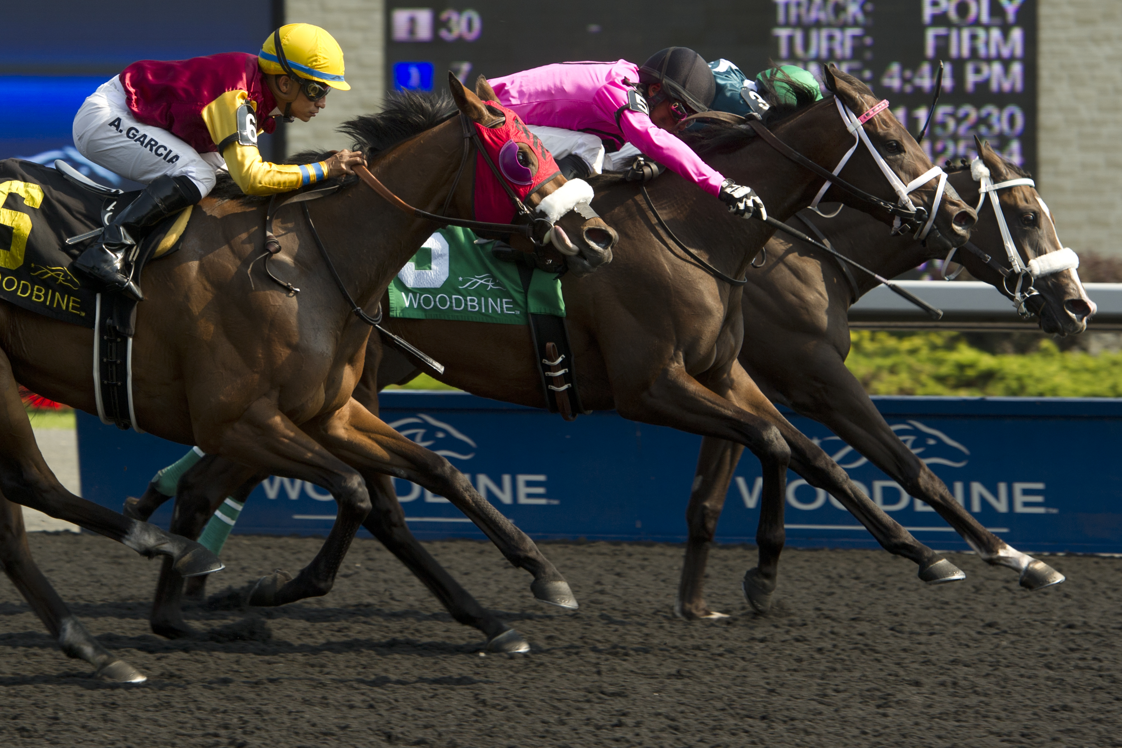 Brooklysway wins 2015 Bison City