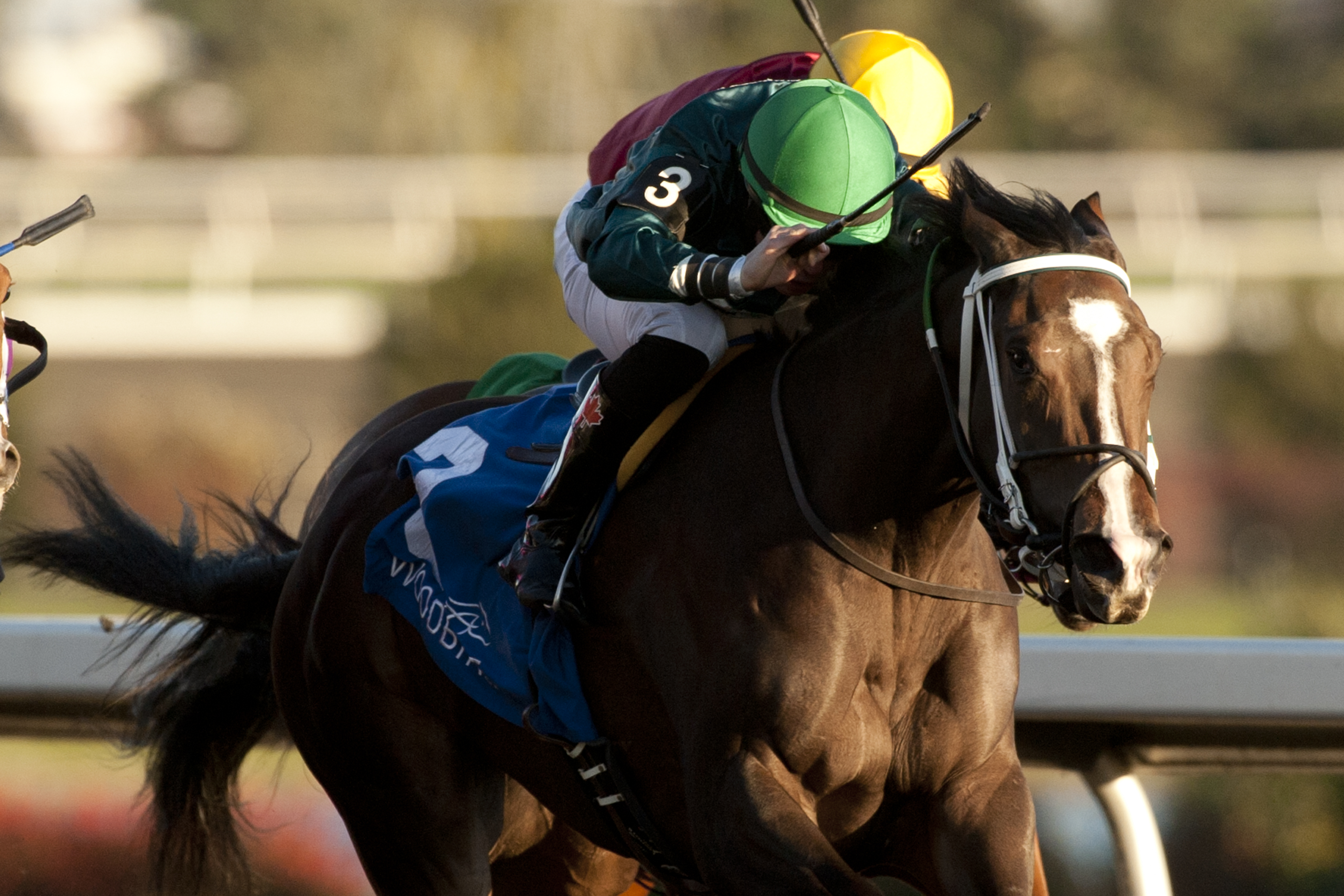 Brooklynsway wins 2014 Princess Elizabeth
