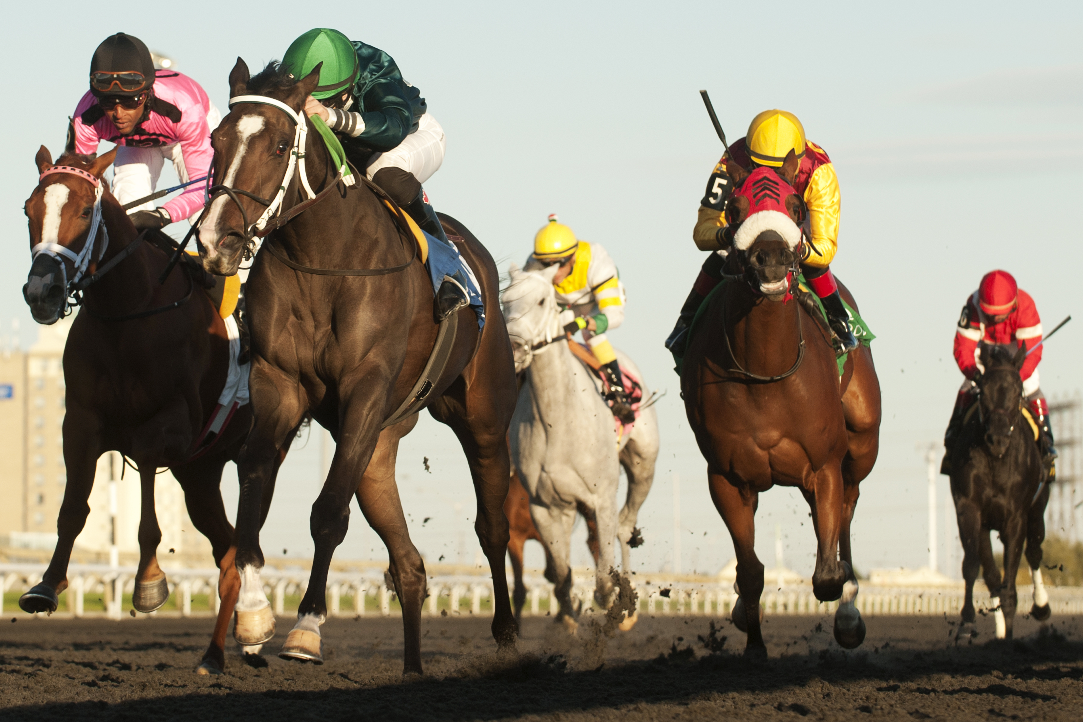 Brooklynsway wins the Princess Elizabeth