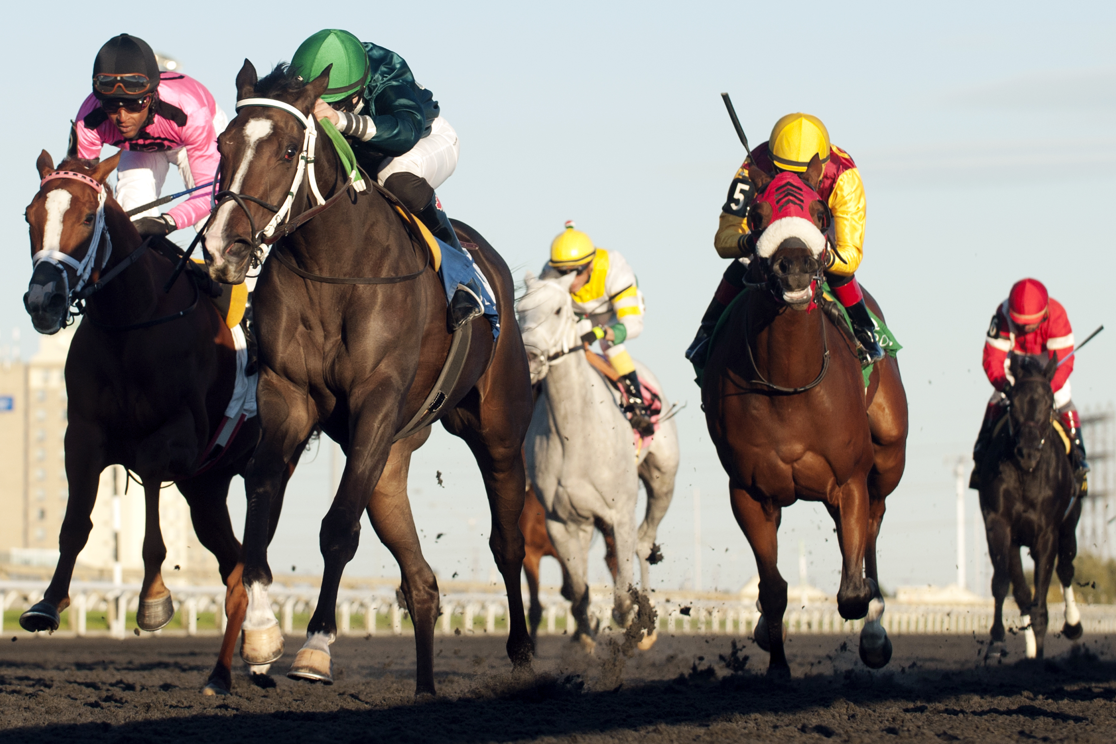 Brooklynsway wins the Princess Elizabeth