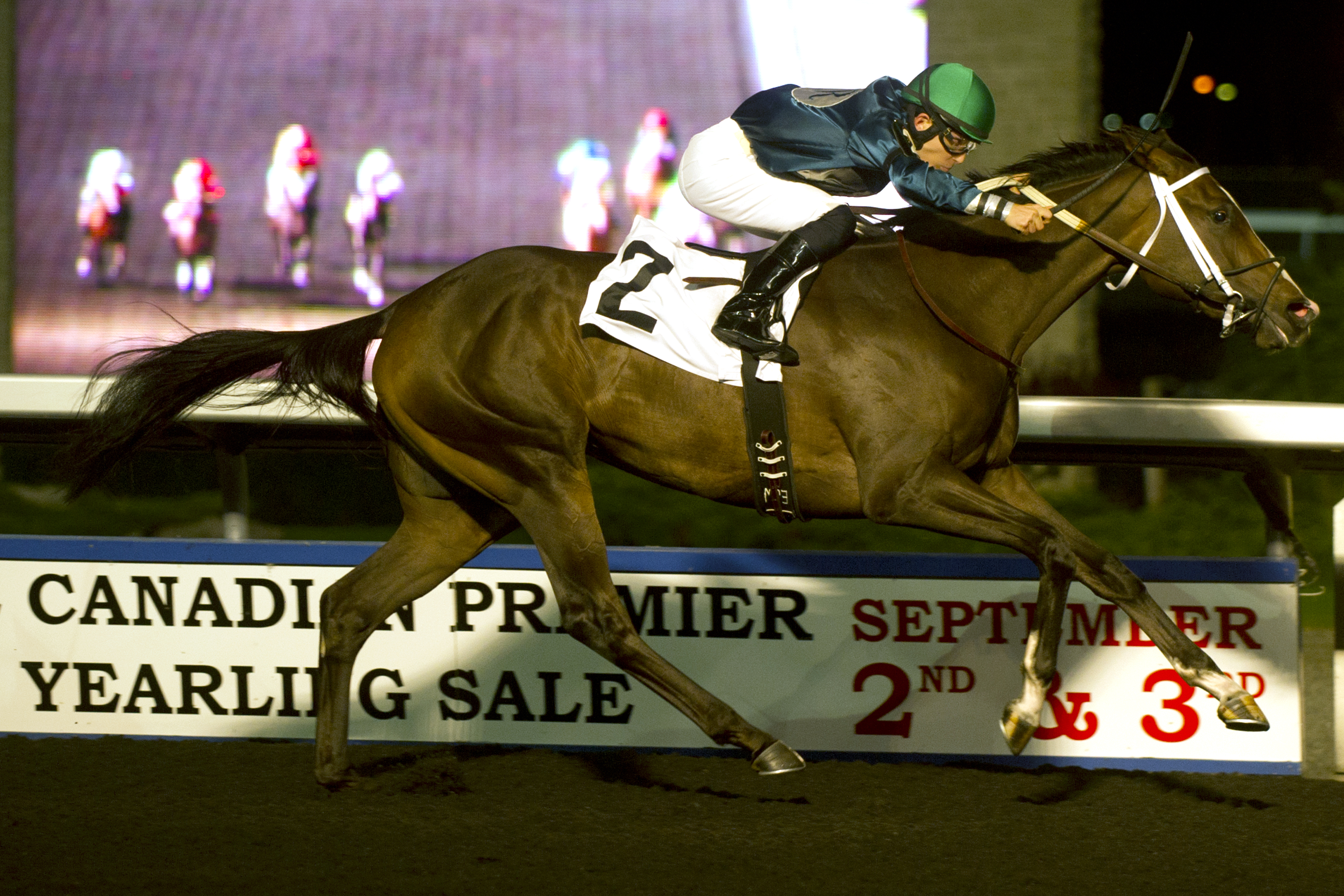 Brooklynsway wins the Muskoka Stakes