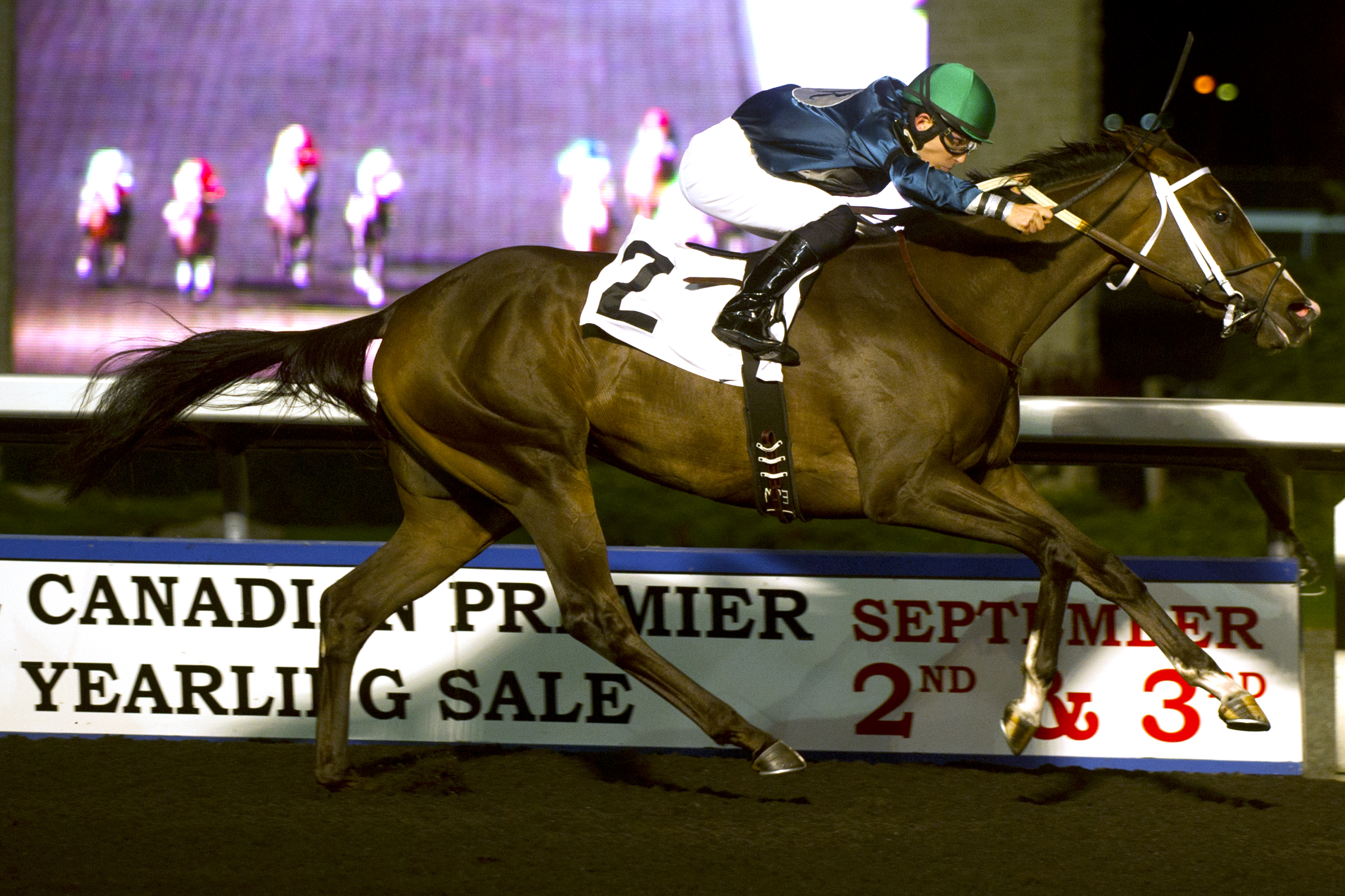 Brooklynsway wins the Muskoka Stakes