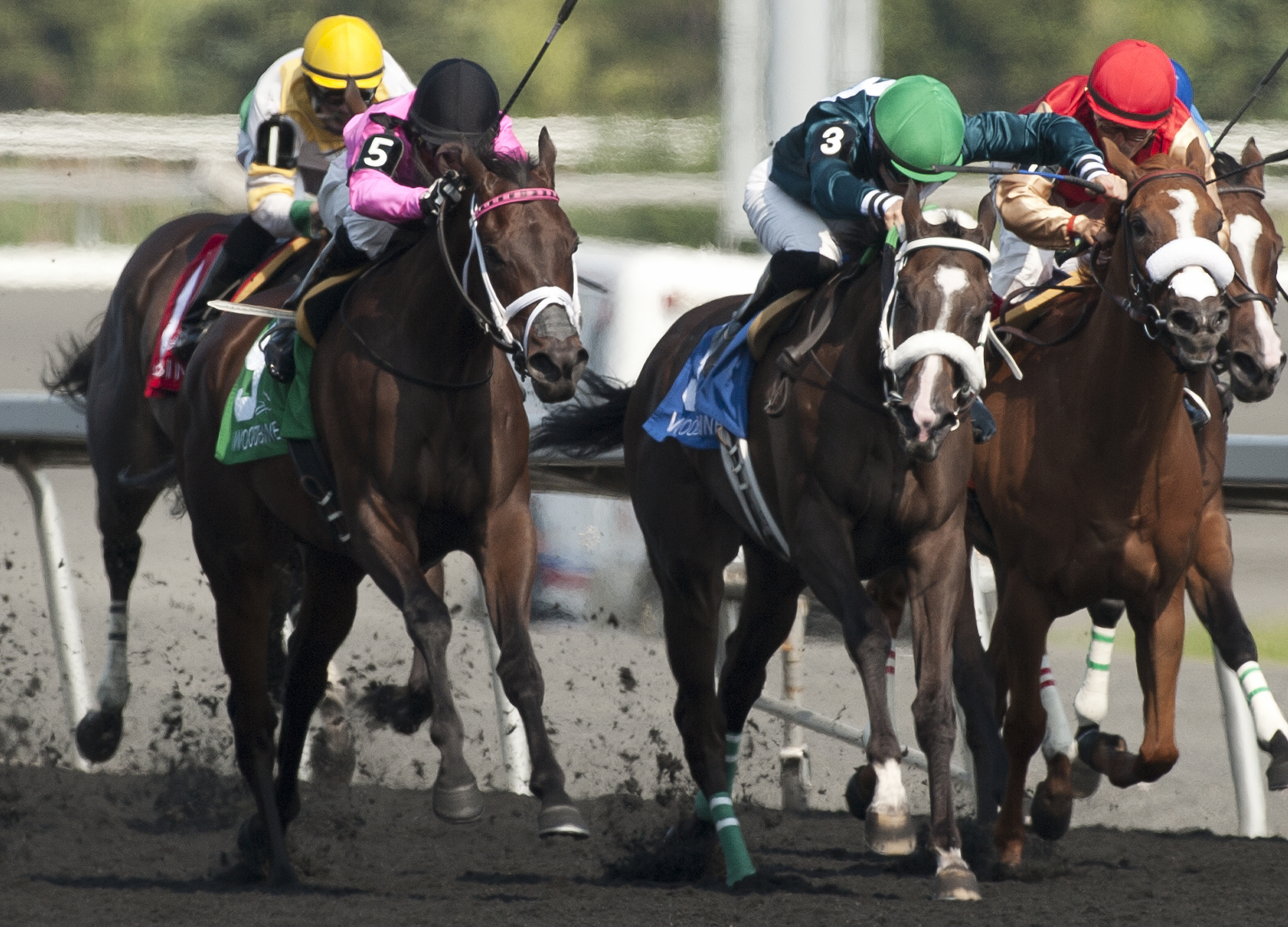 Galina Point finishes second in the Bison City Stakes