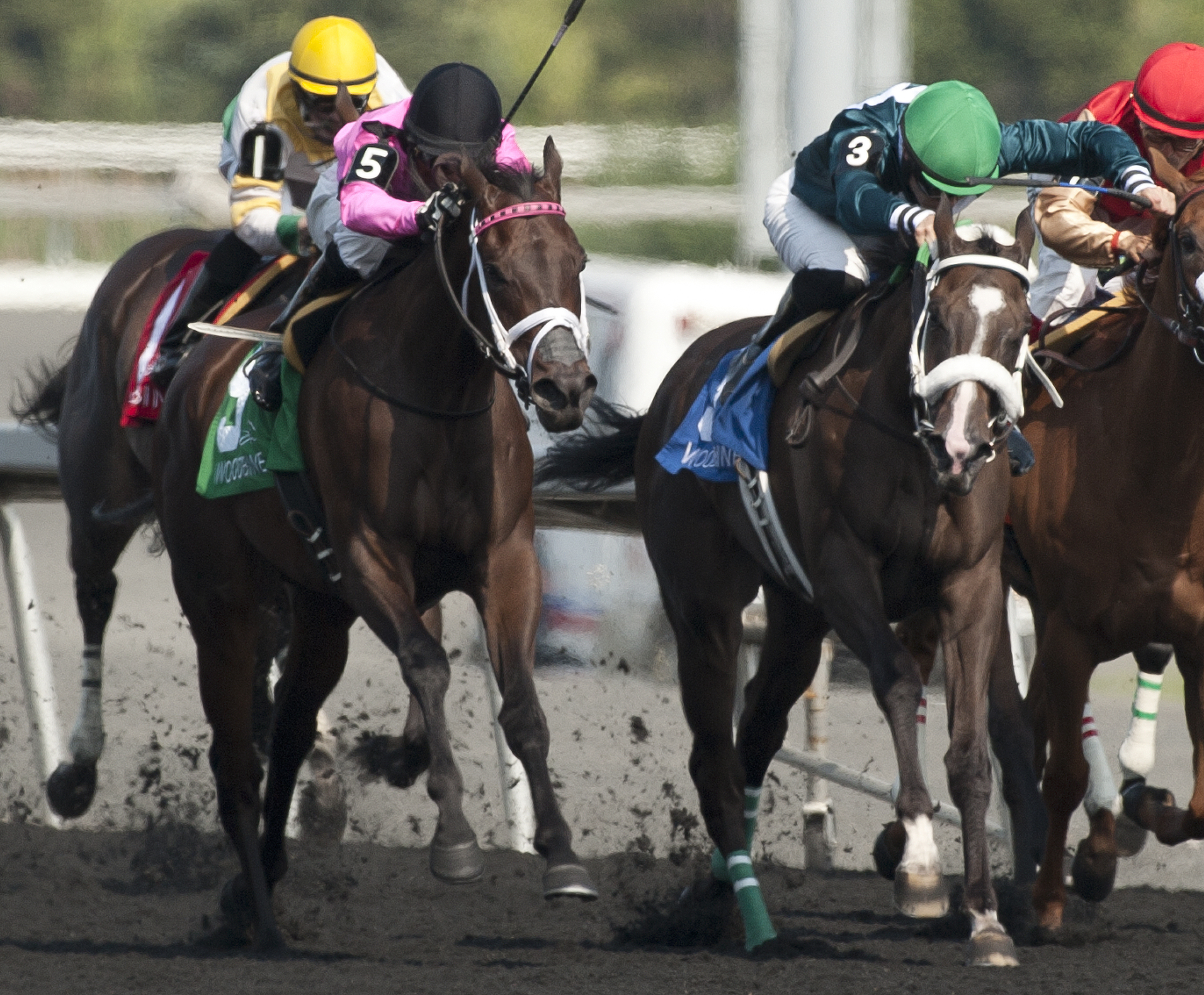 Galina Point finishes second to Brooklynsway in the Bison City Stakes
