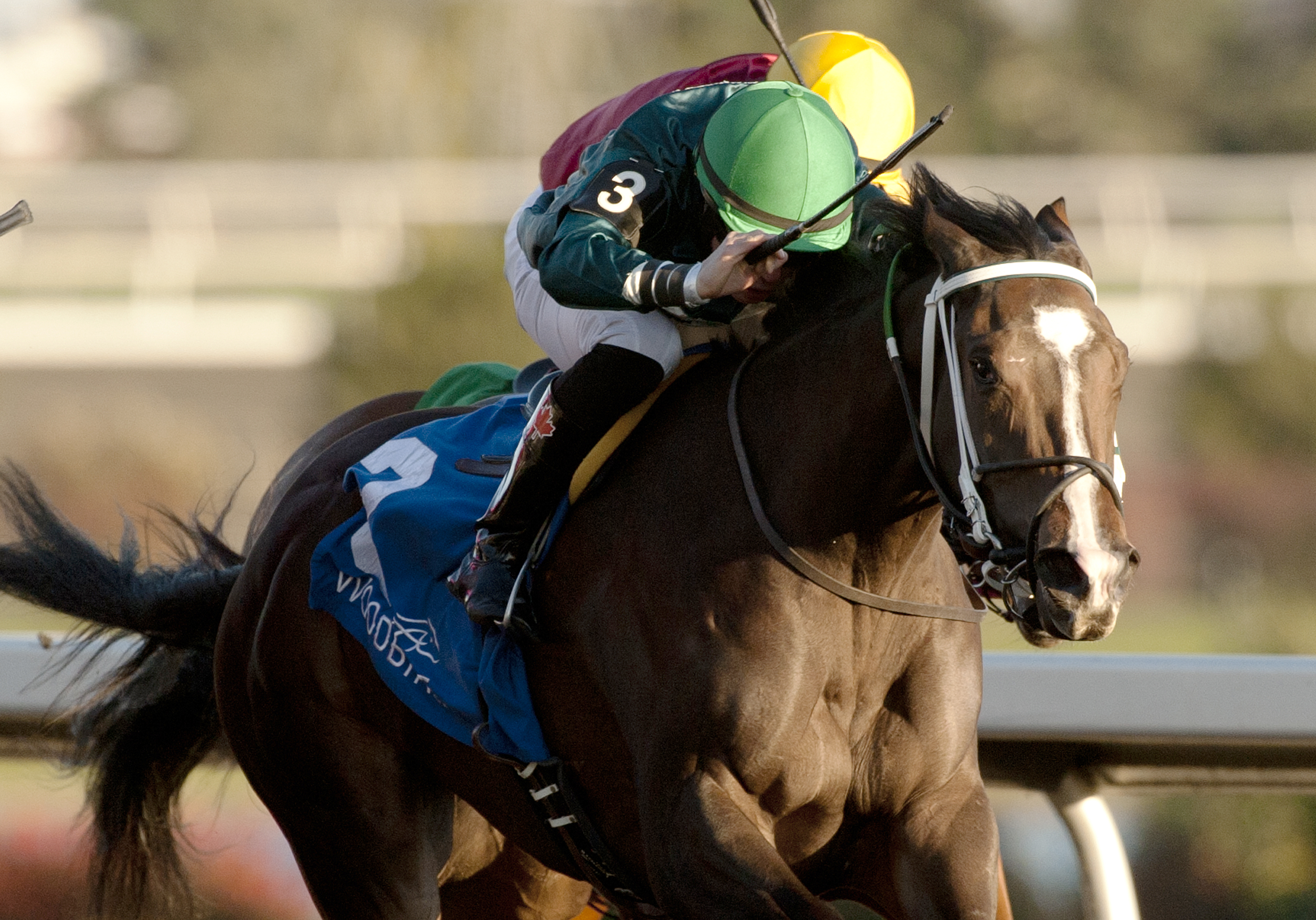 Brooklynsway wins the Princess Elizabeth