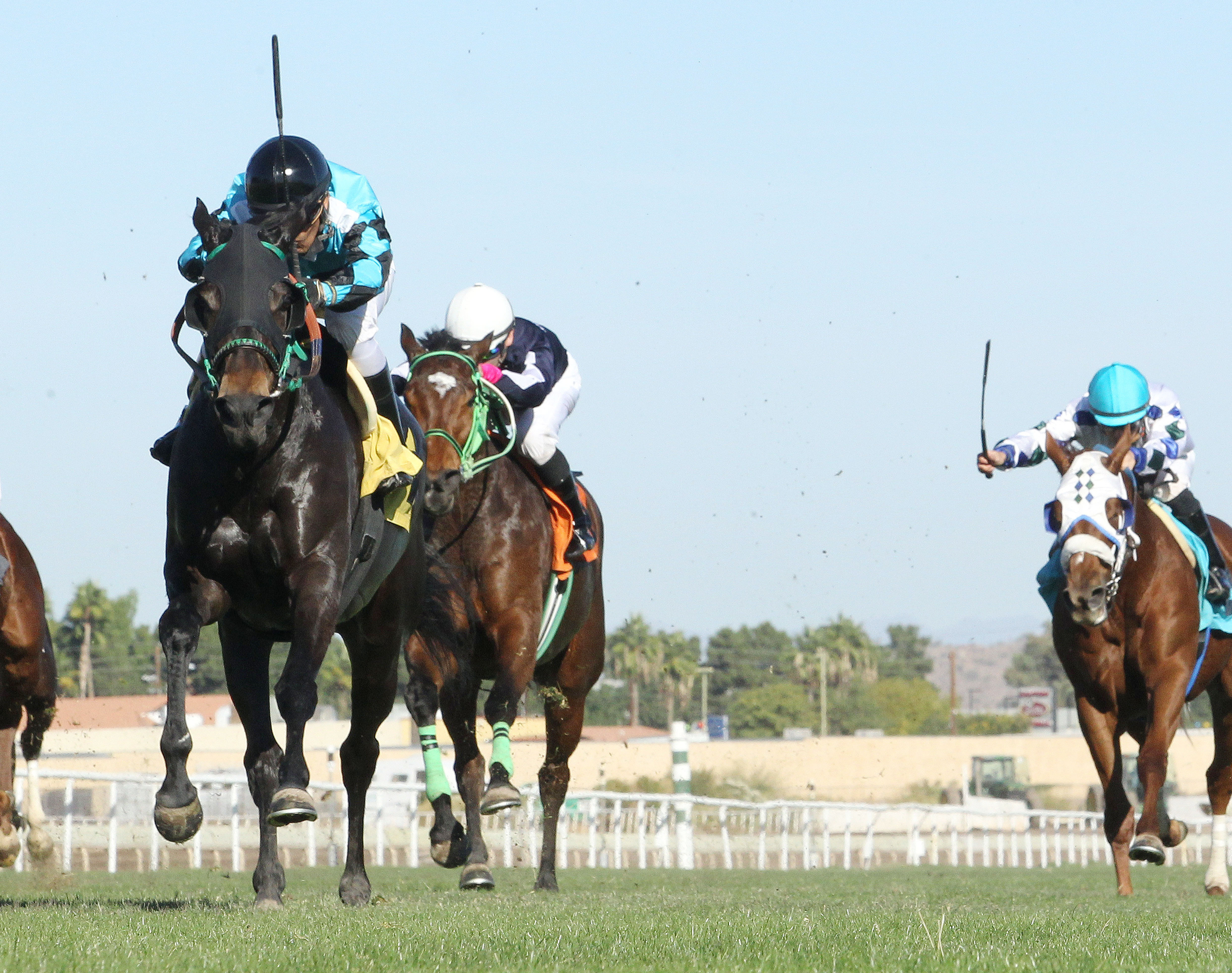 Brookys Star wins the 2017 Queen of the Green