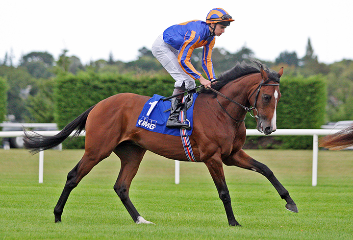 Broome finishes second in the Champions Juvenile Stakes